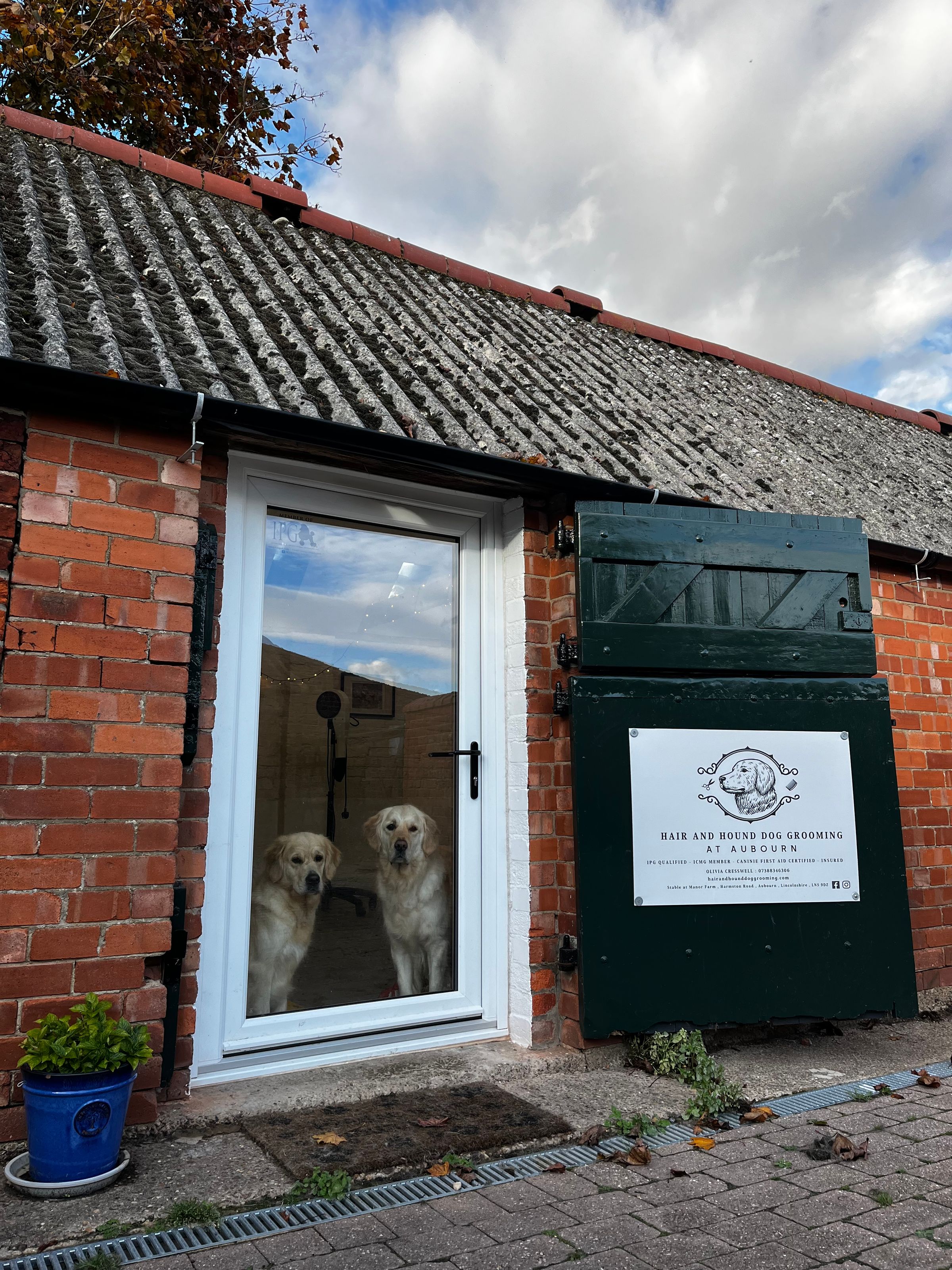 Hair and Hound Dog Grooming's image