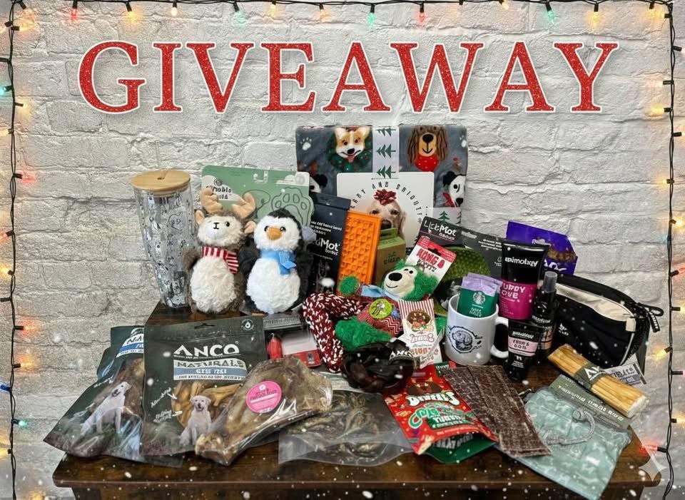 Hair and Hound Dog Grooming's image