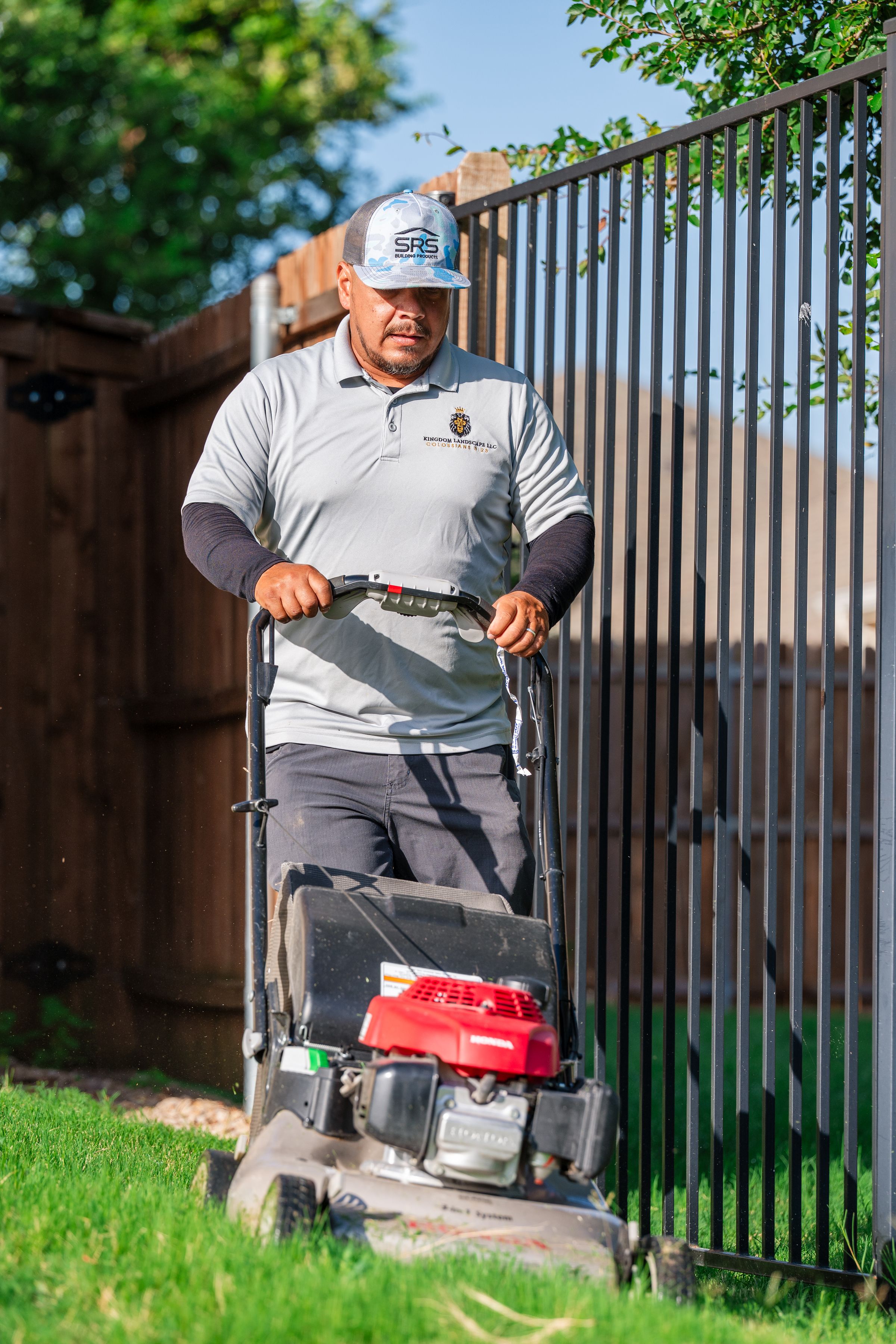 Kingdom Landscape 's image