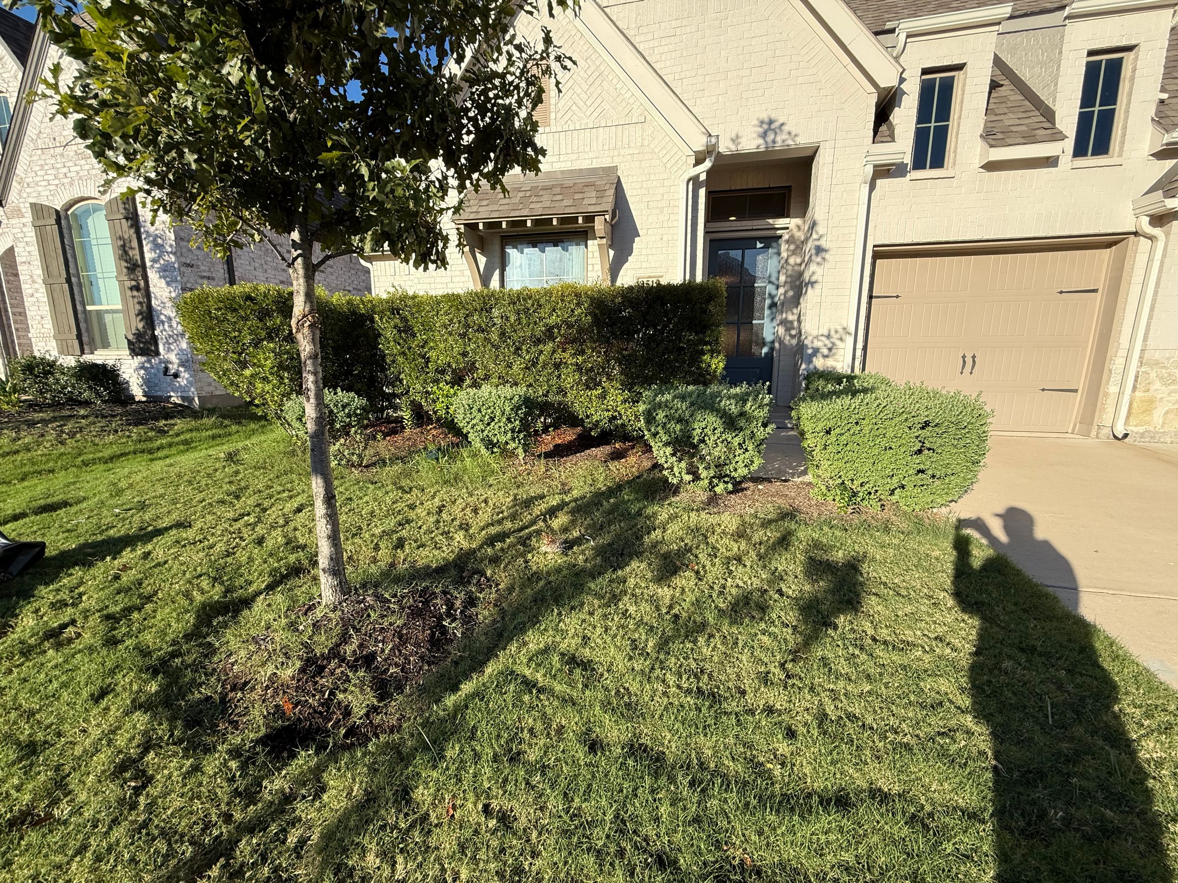 Kingdom Landscape 's image