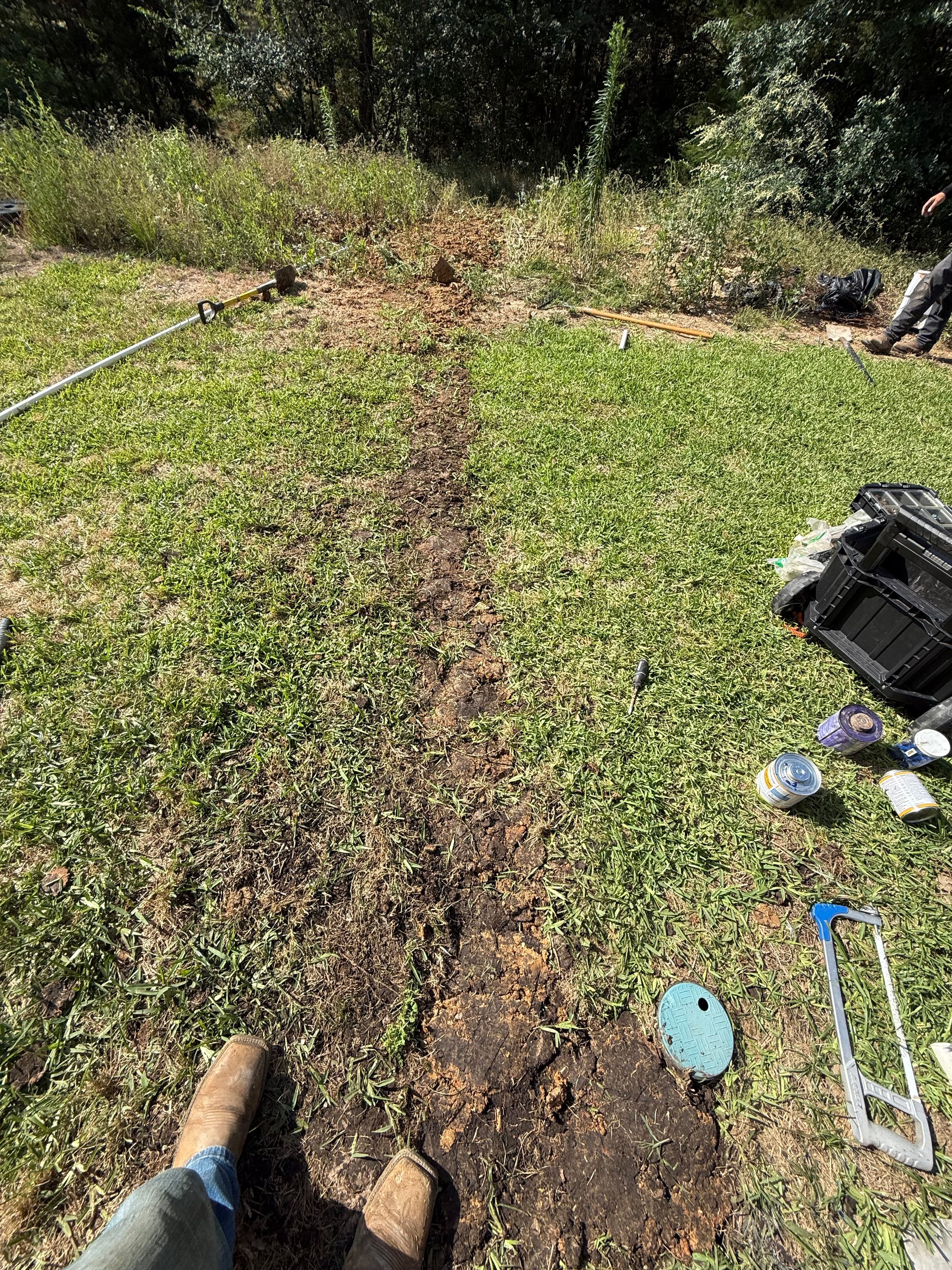 Kingdom Landscape 's image