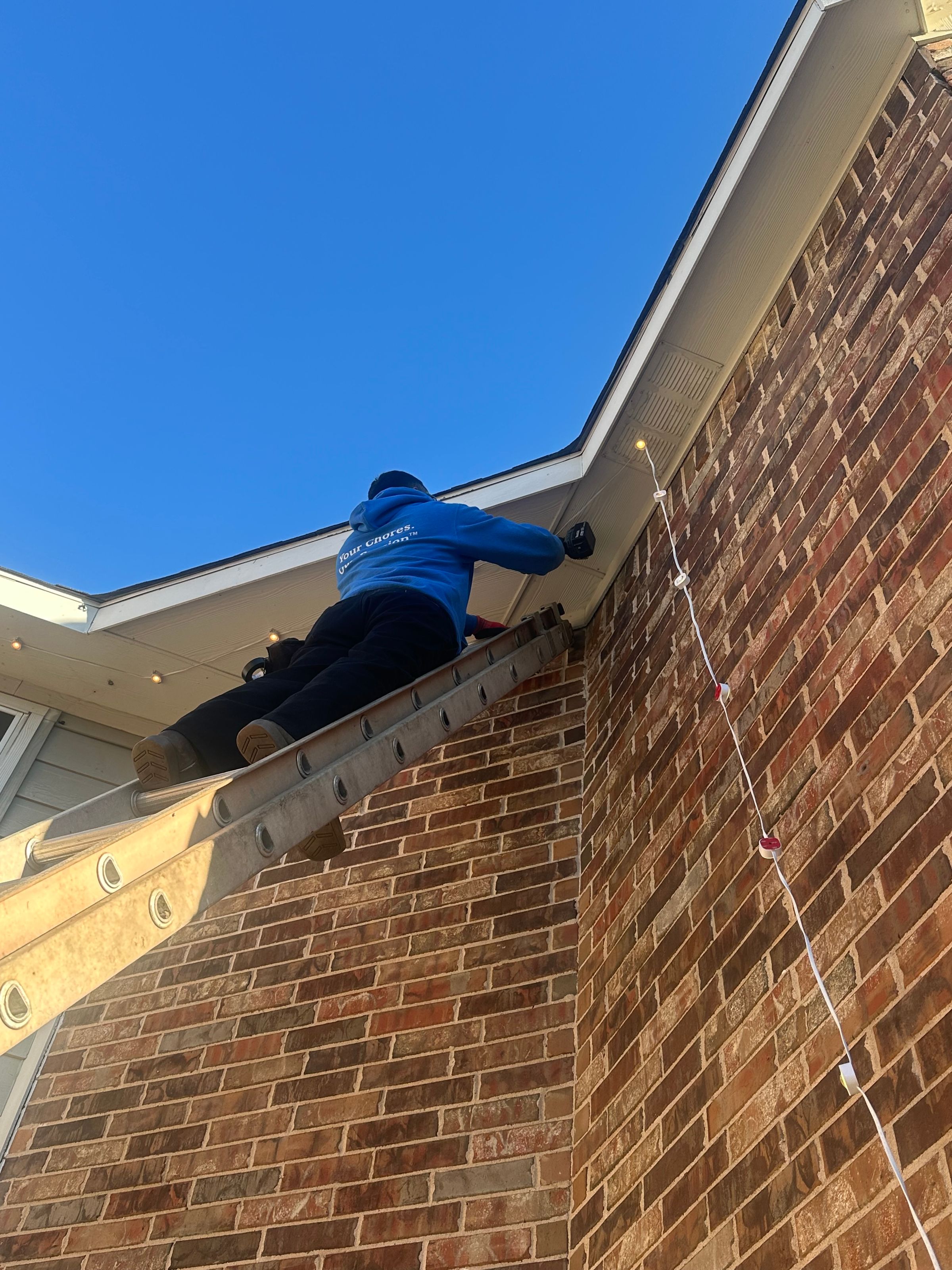 Kingdom Landscape 's image