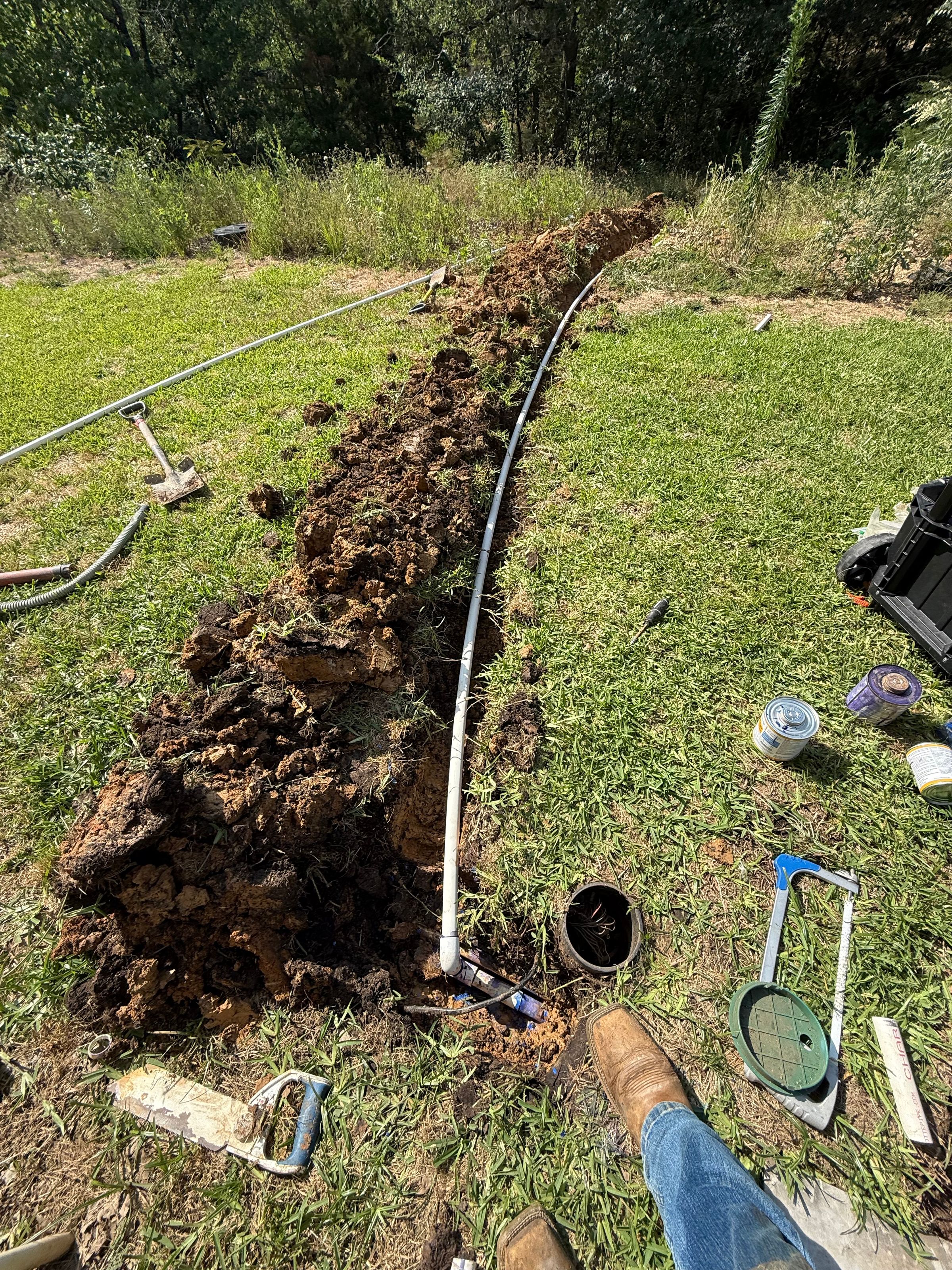 Kingdom Landscape 's image