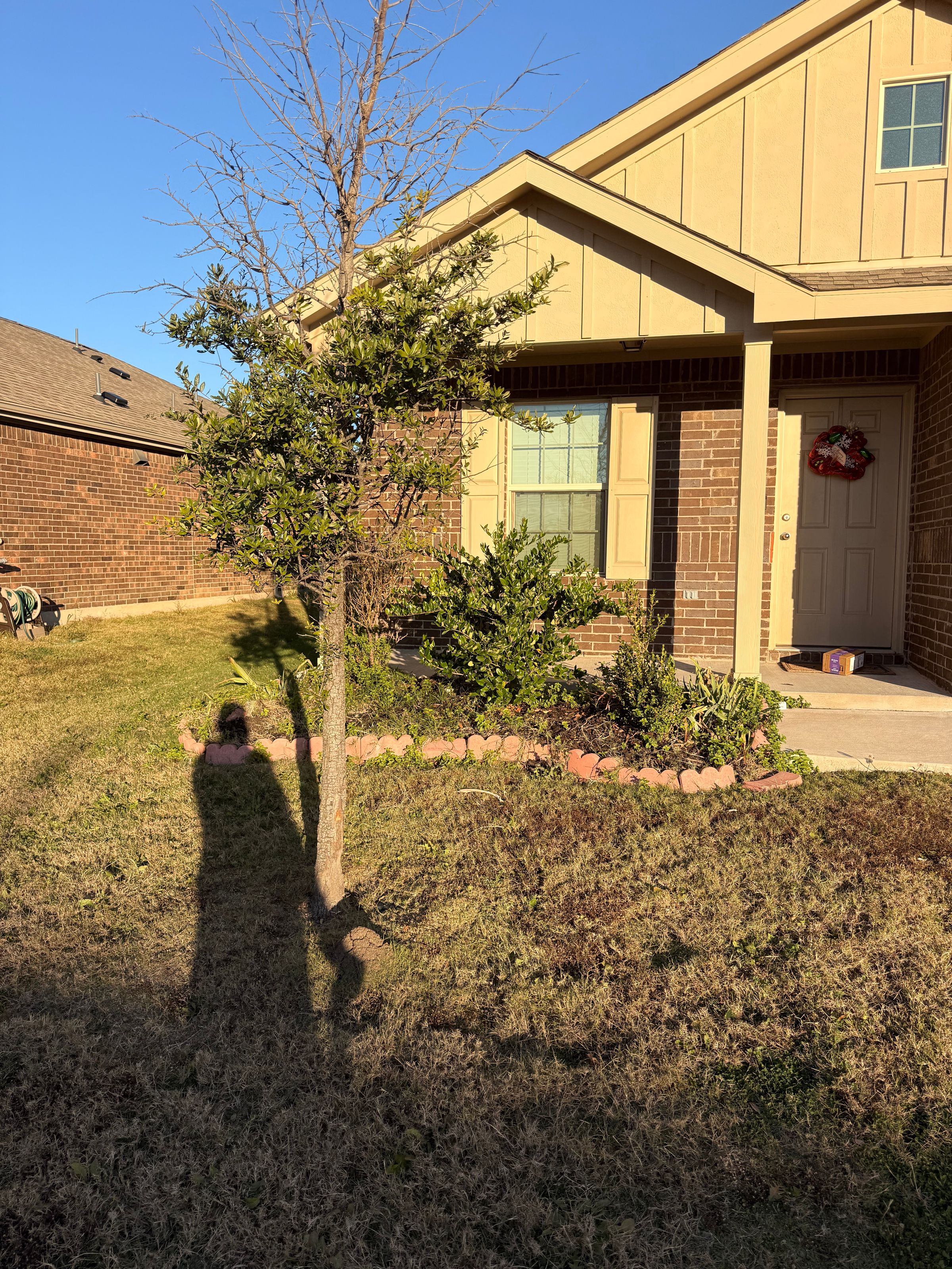 Kingdom Landscape 's image