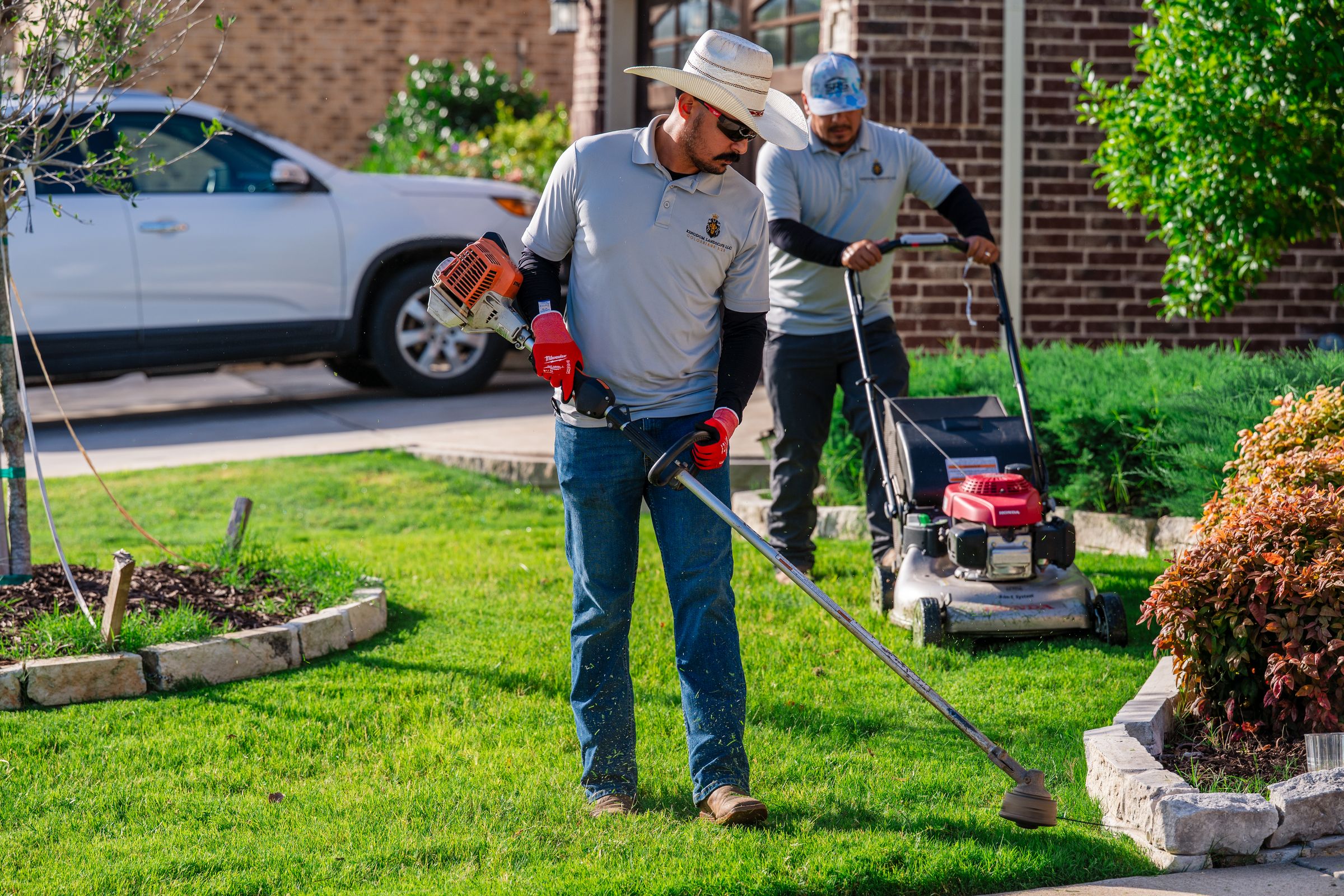 Kingdom Landscape 's image