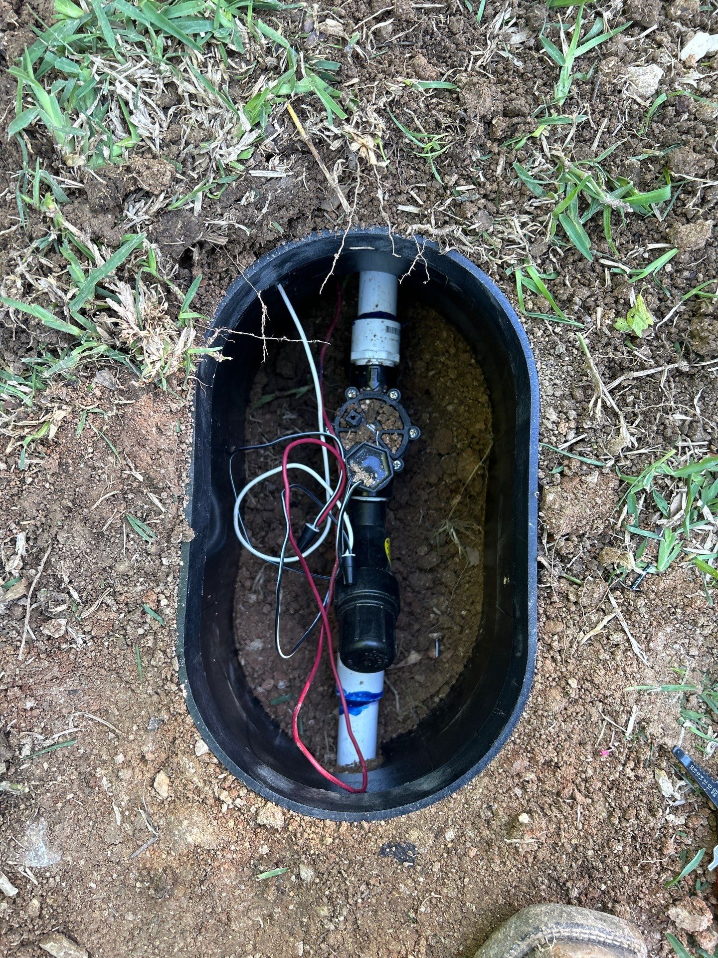 Kingdom Landscape 's image