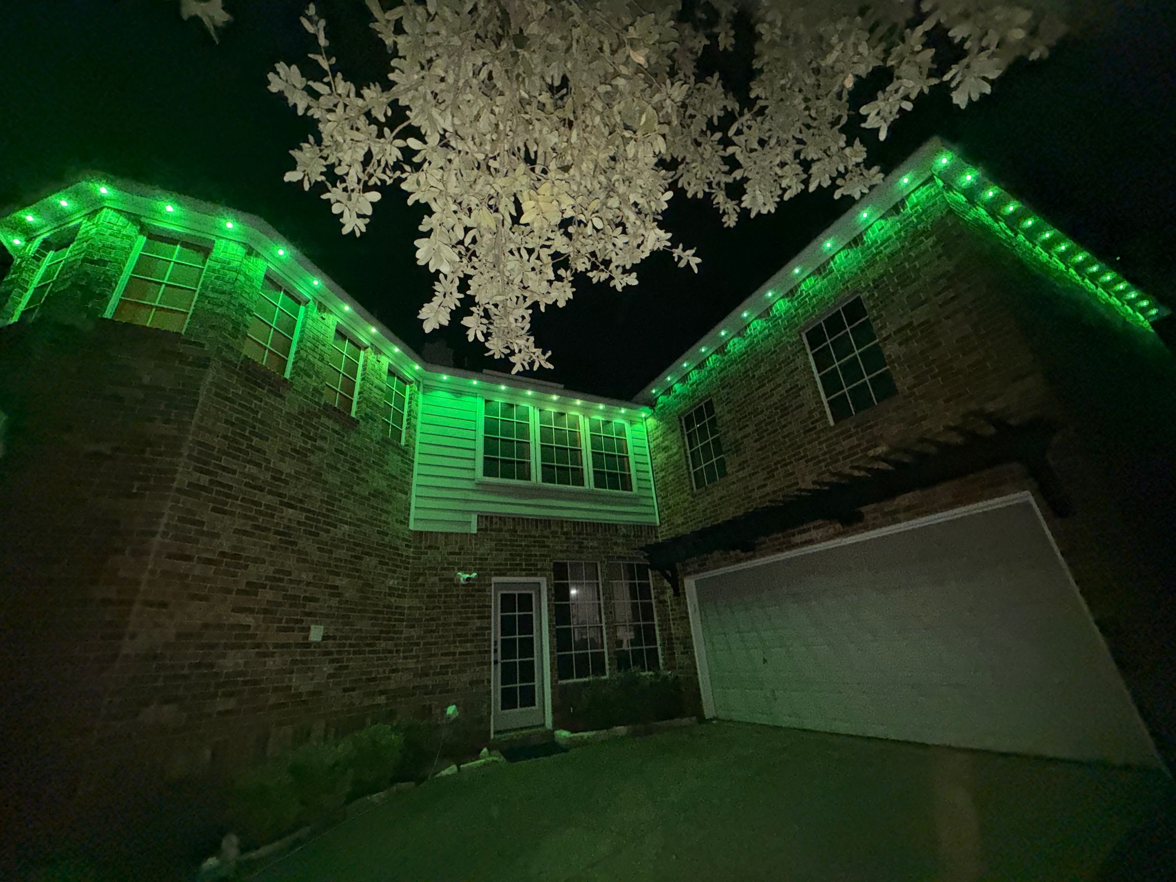 Kingdom Landscape 's image