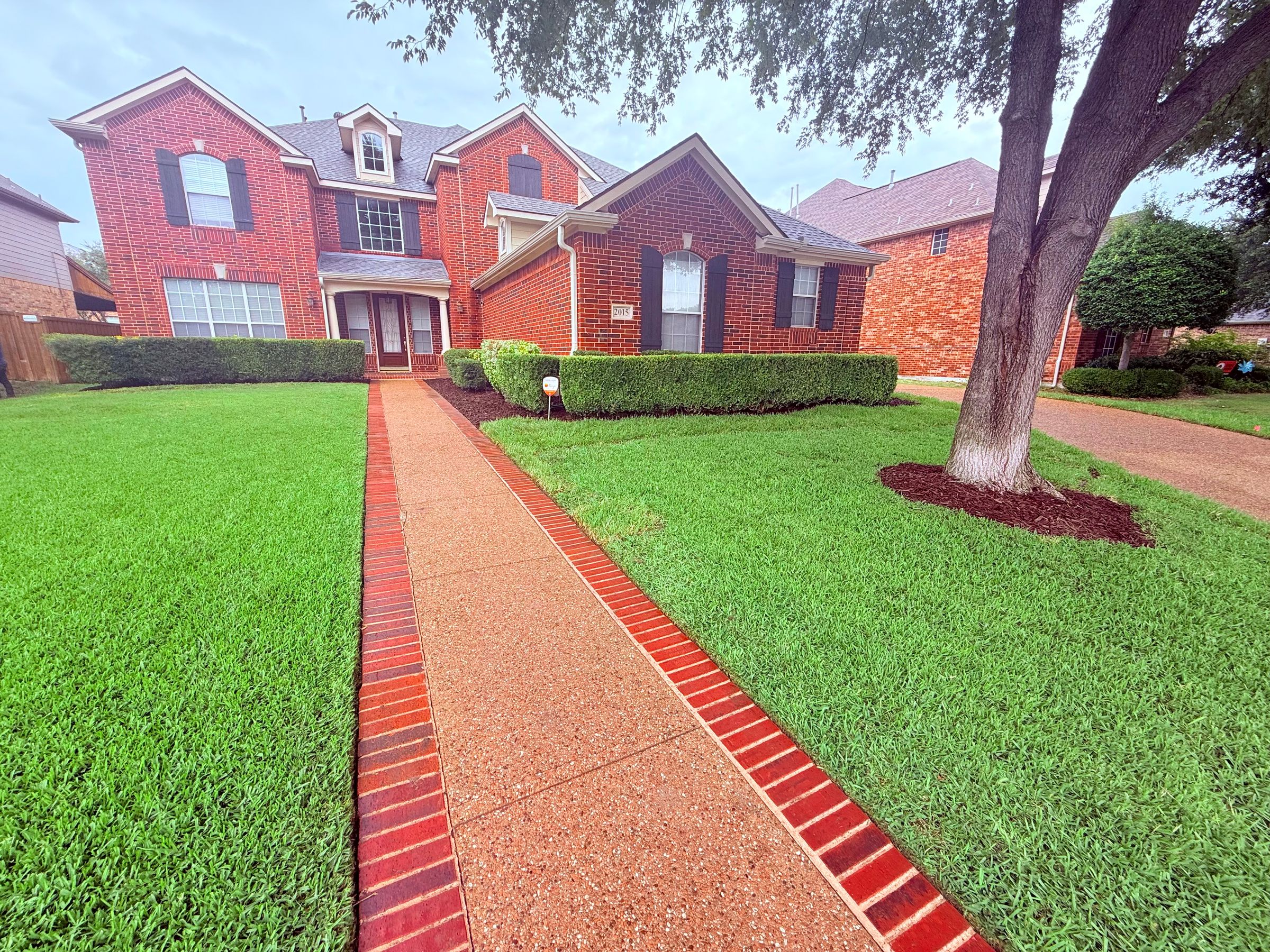 Kingdom Landscape 's image