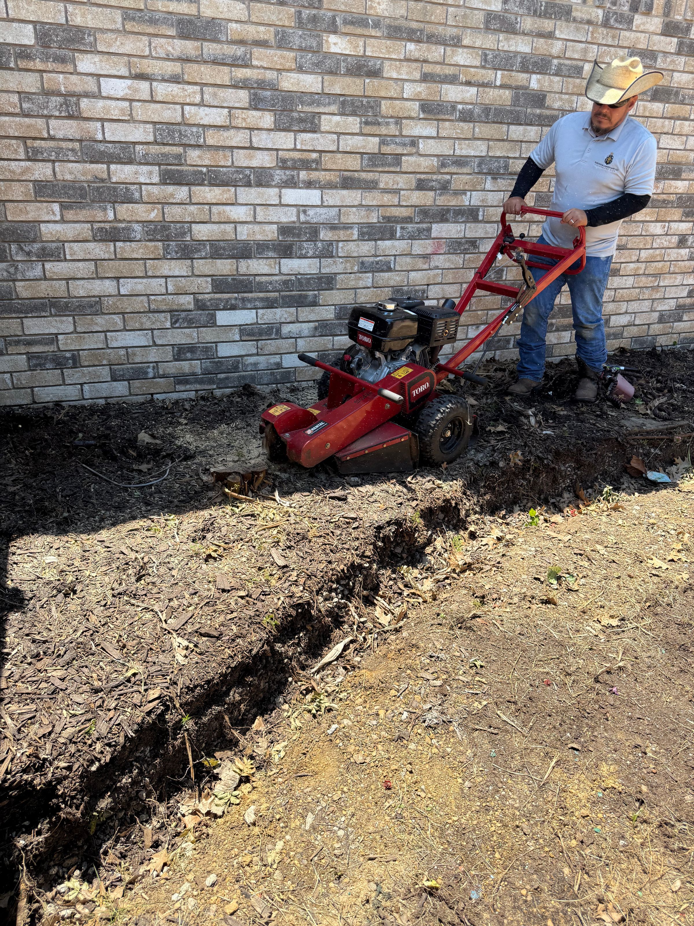 Kingdom Landscape 's image