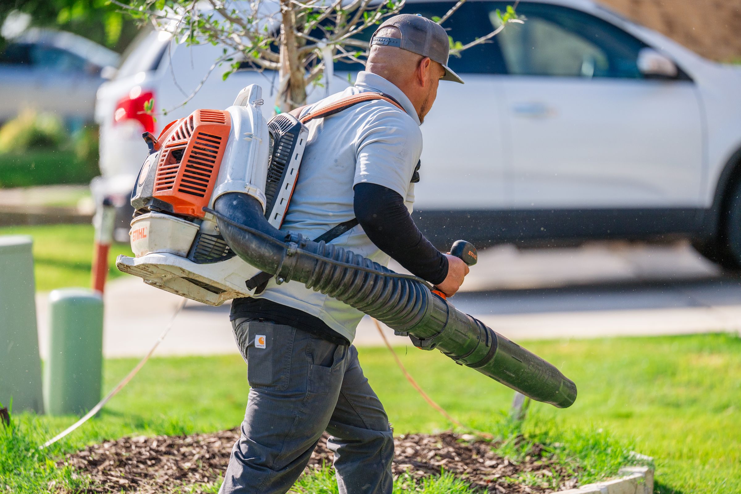 Kingdom Landscape 's image