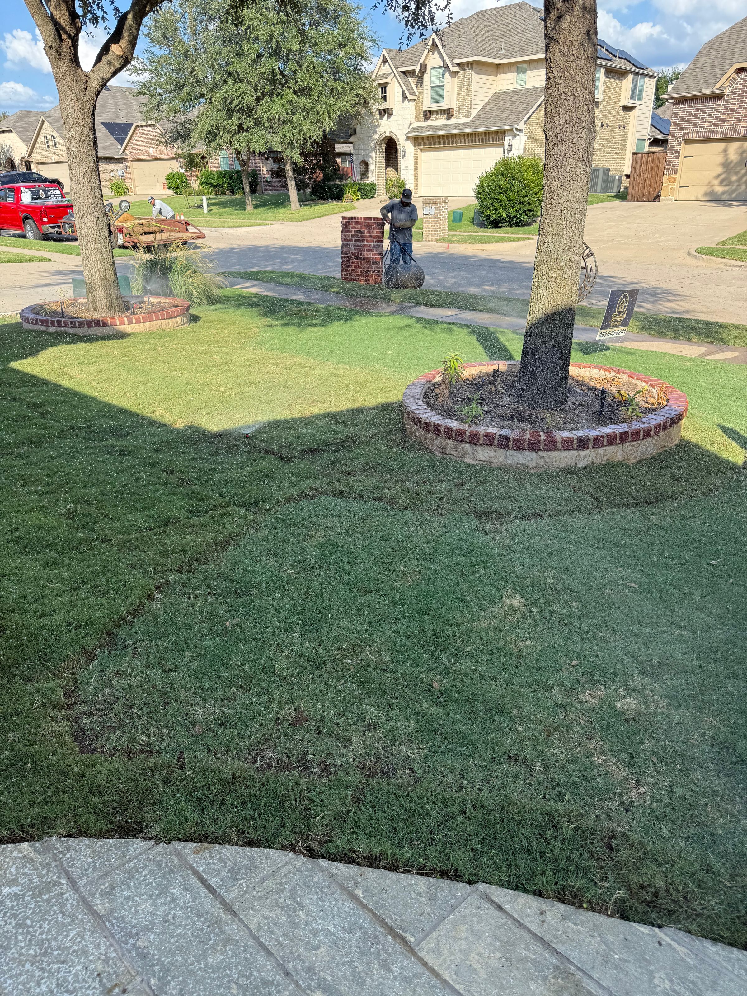 Kingdom Landscape 's image