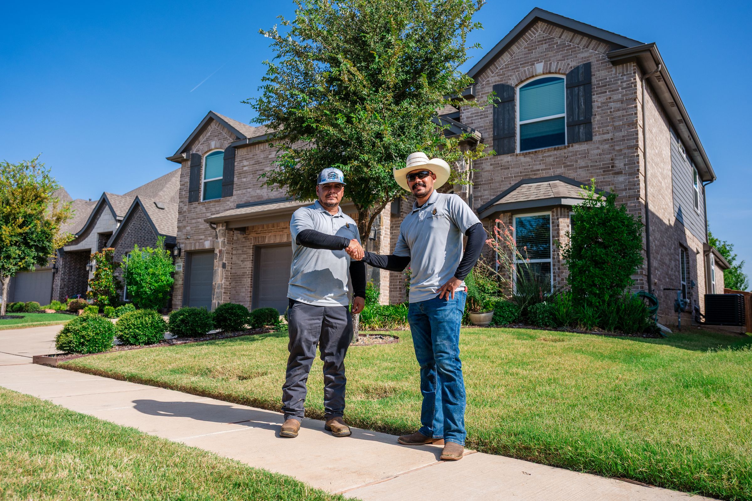 Kingdom Landscape 's image