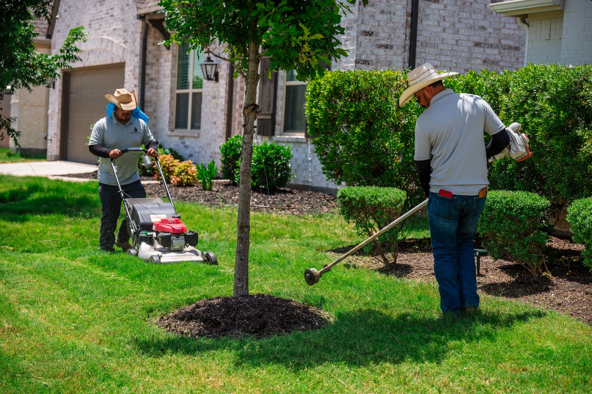 Kingdom Landscape 's image