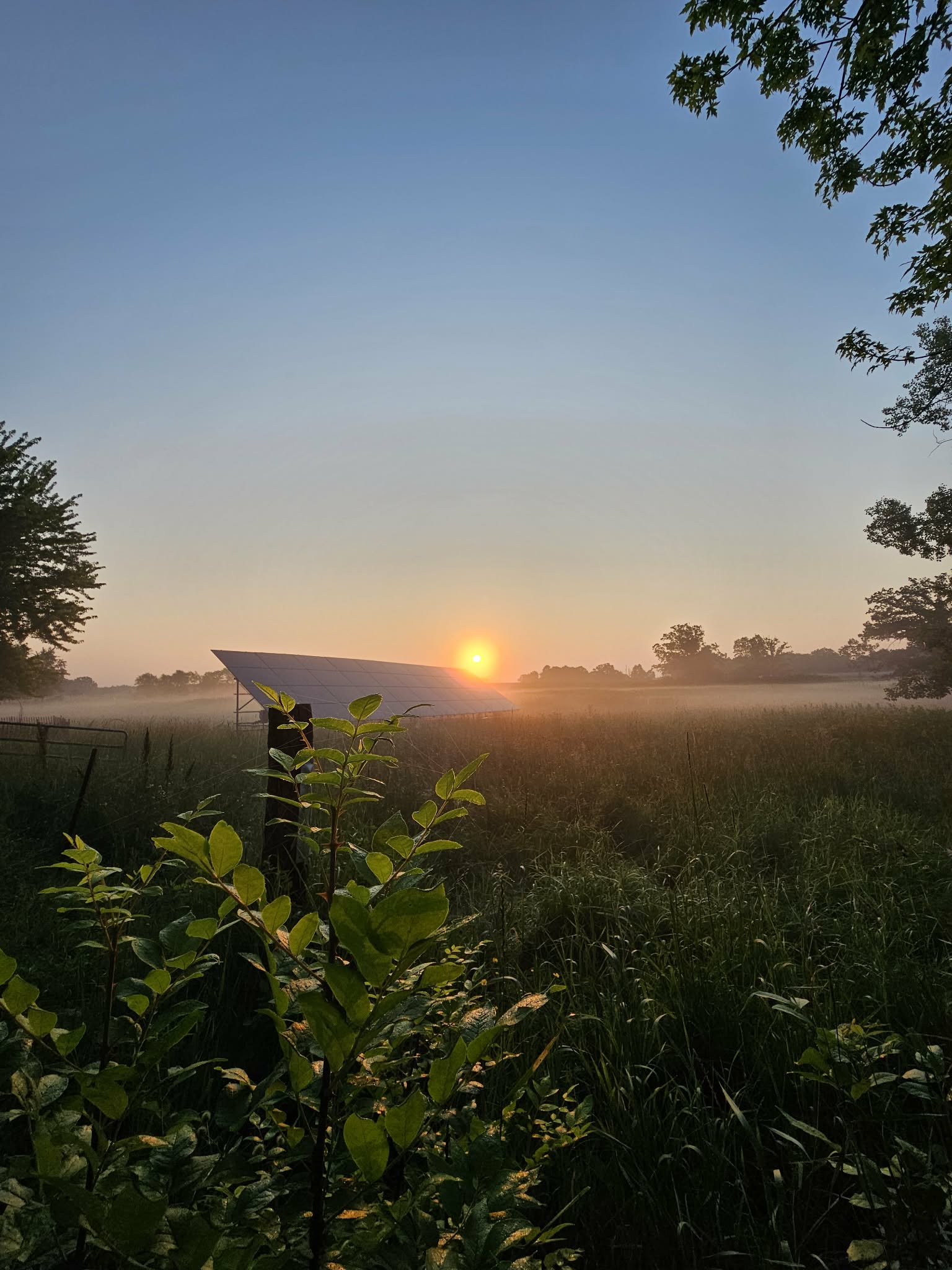 Gold Solar Services 's image