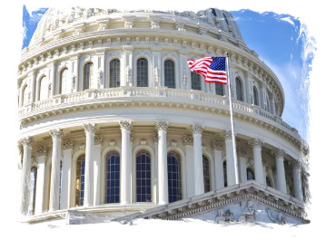 Young Notary & Apostille Services's image