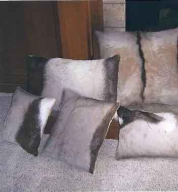 Pillows