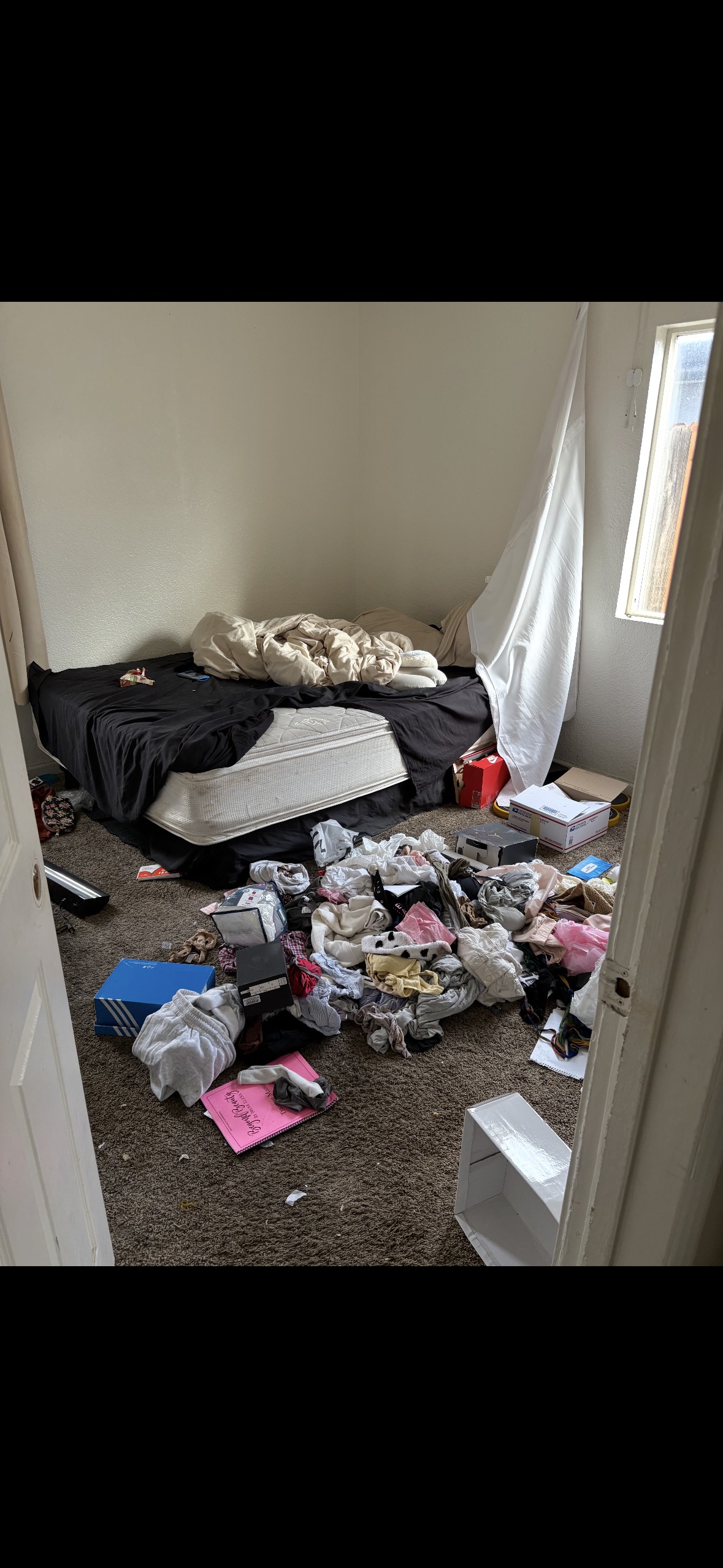 Wild Property's image