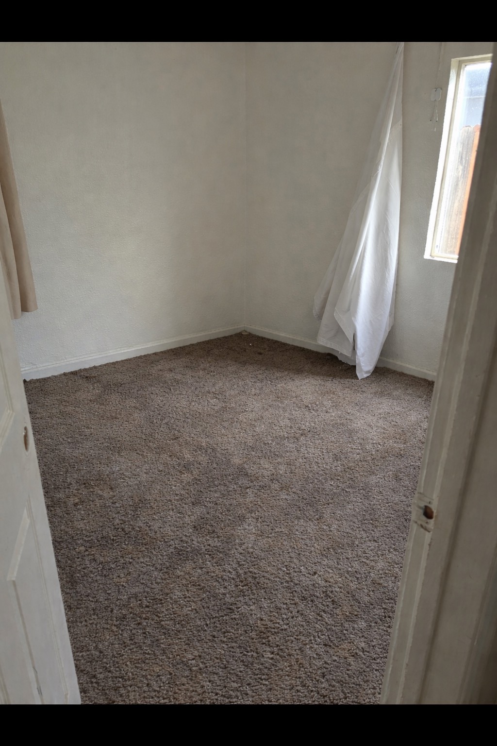 Wild Property's image