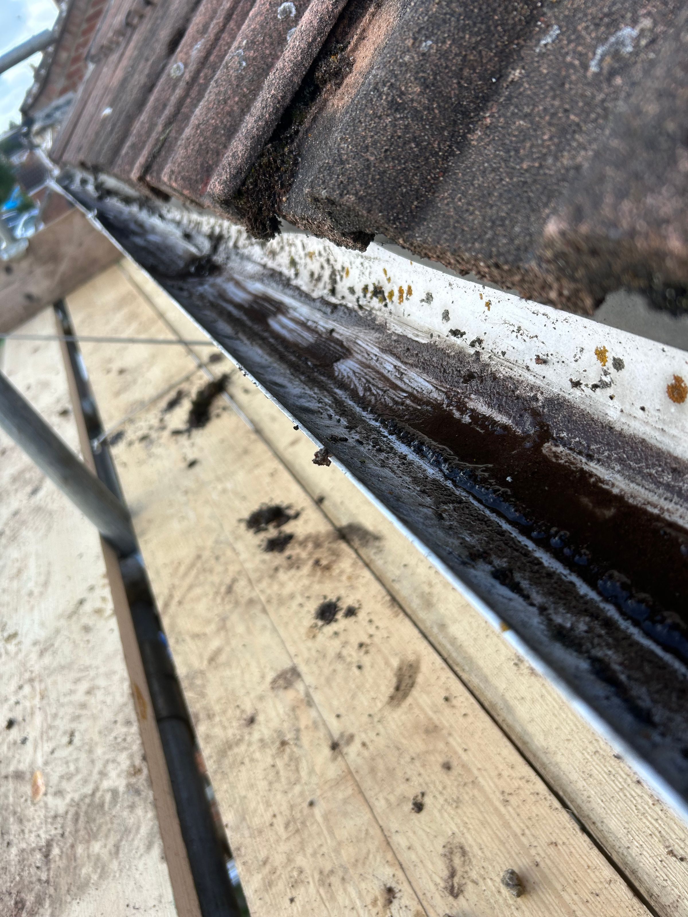 JJG Solar ltd's image