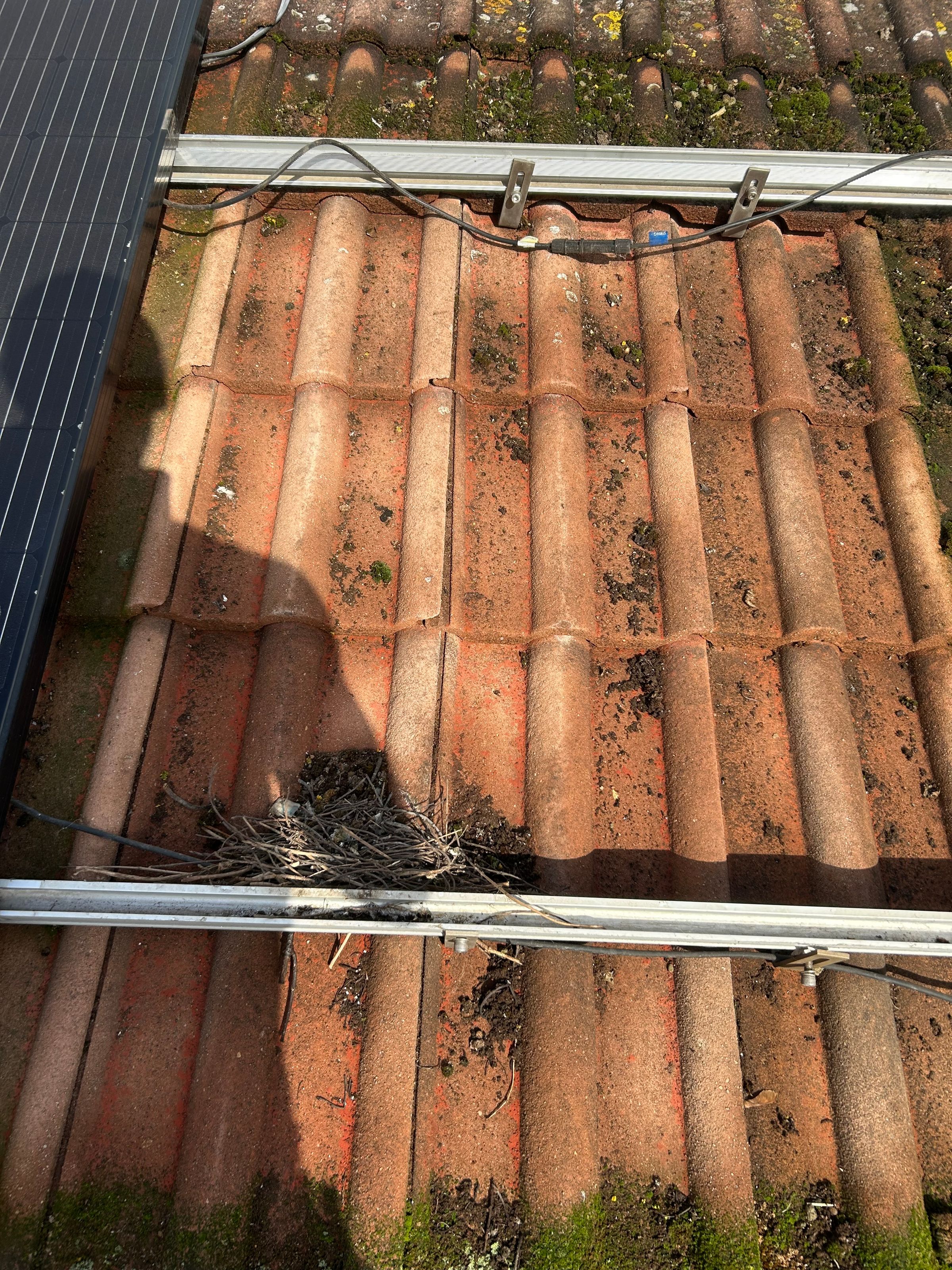 JJG Solar ltd's image