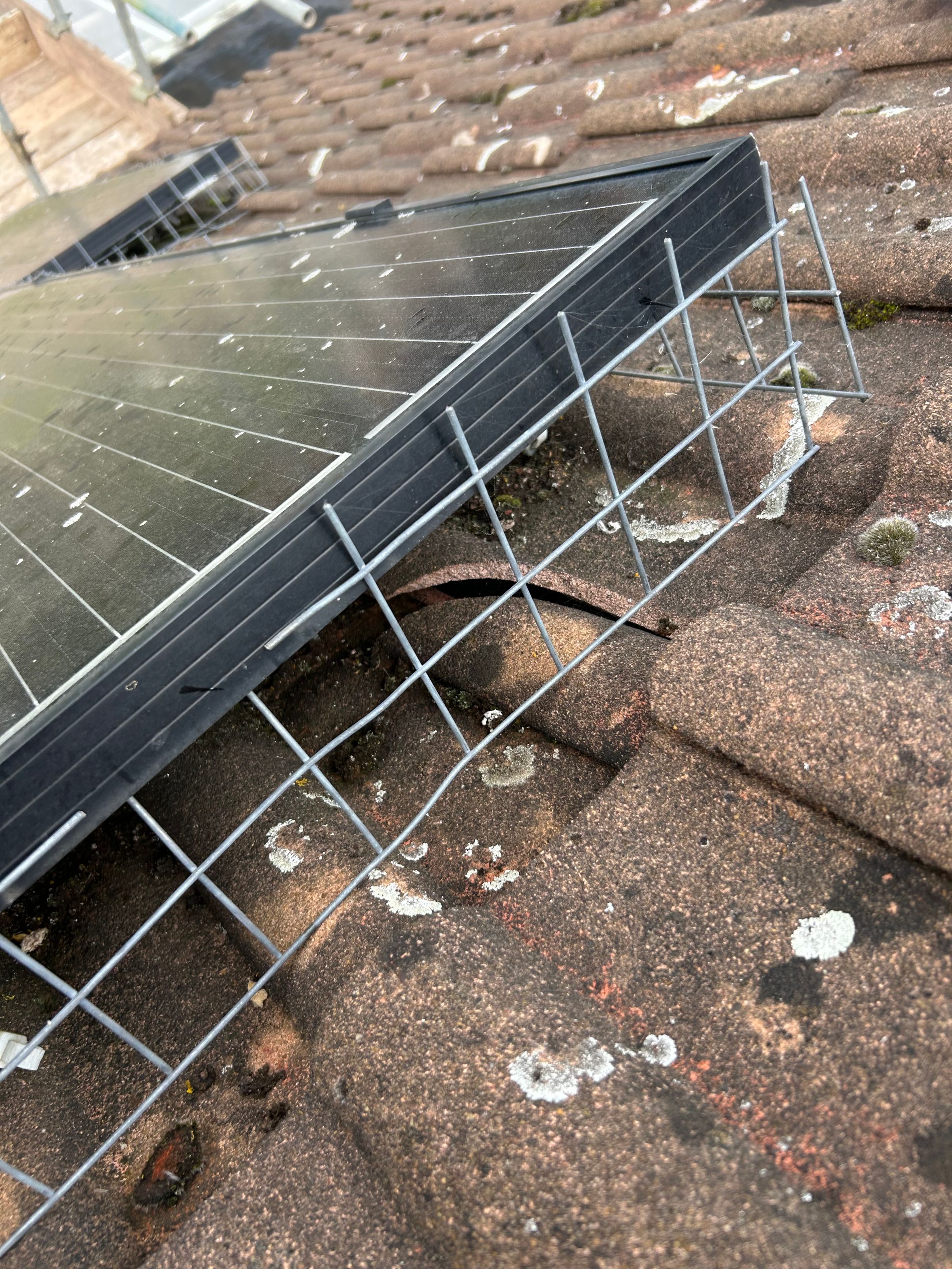 JJG Solar ltd's image