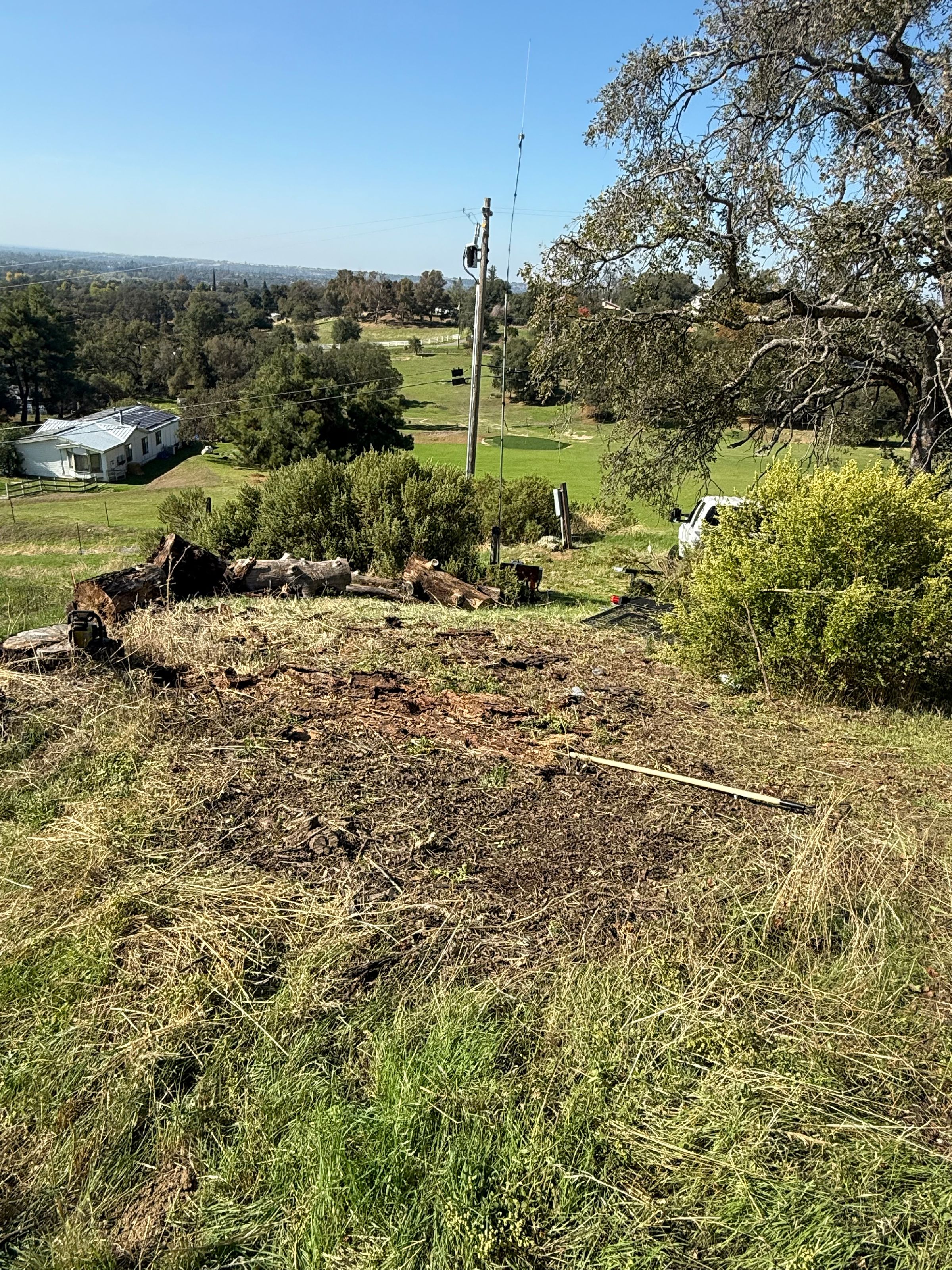 Brush/Tree Clearing