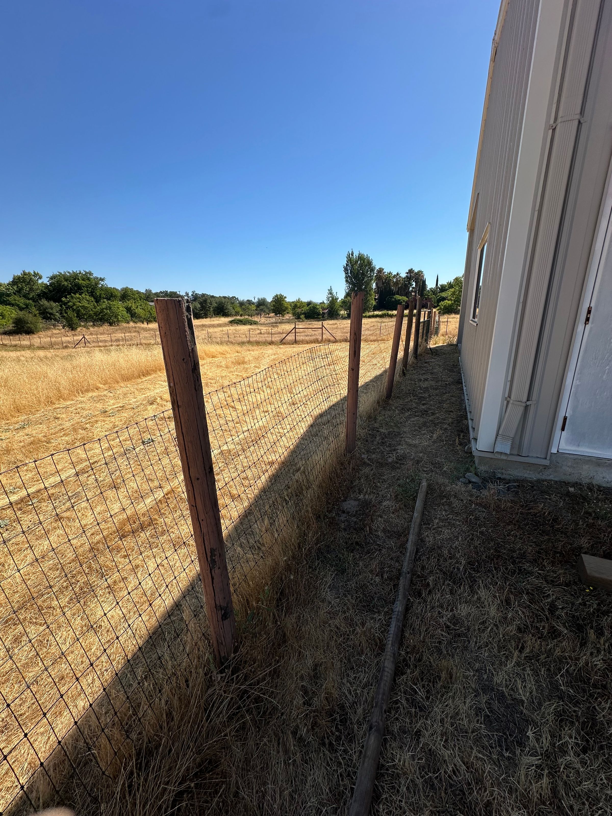 Field Fence