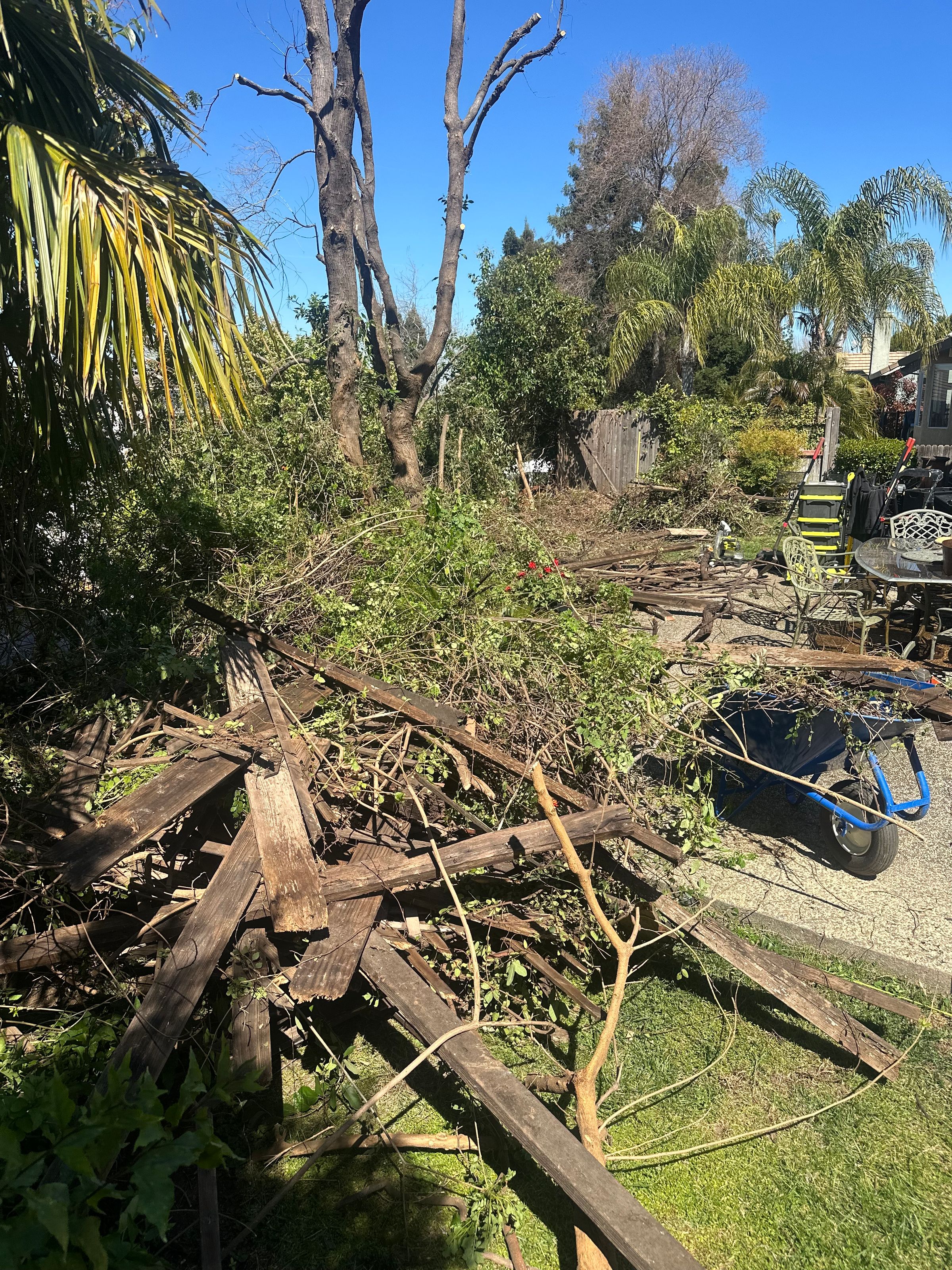 Yard Clearing