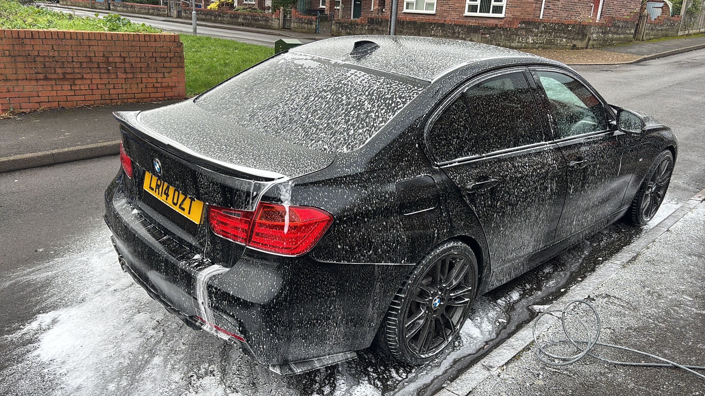 Paired Pristine's image