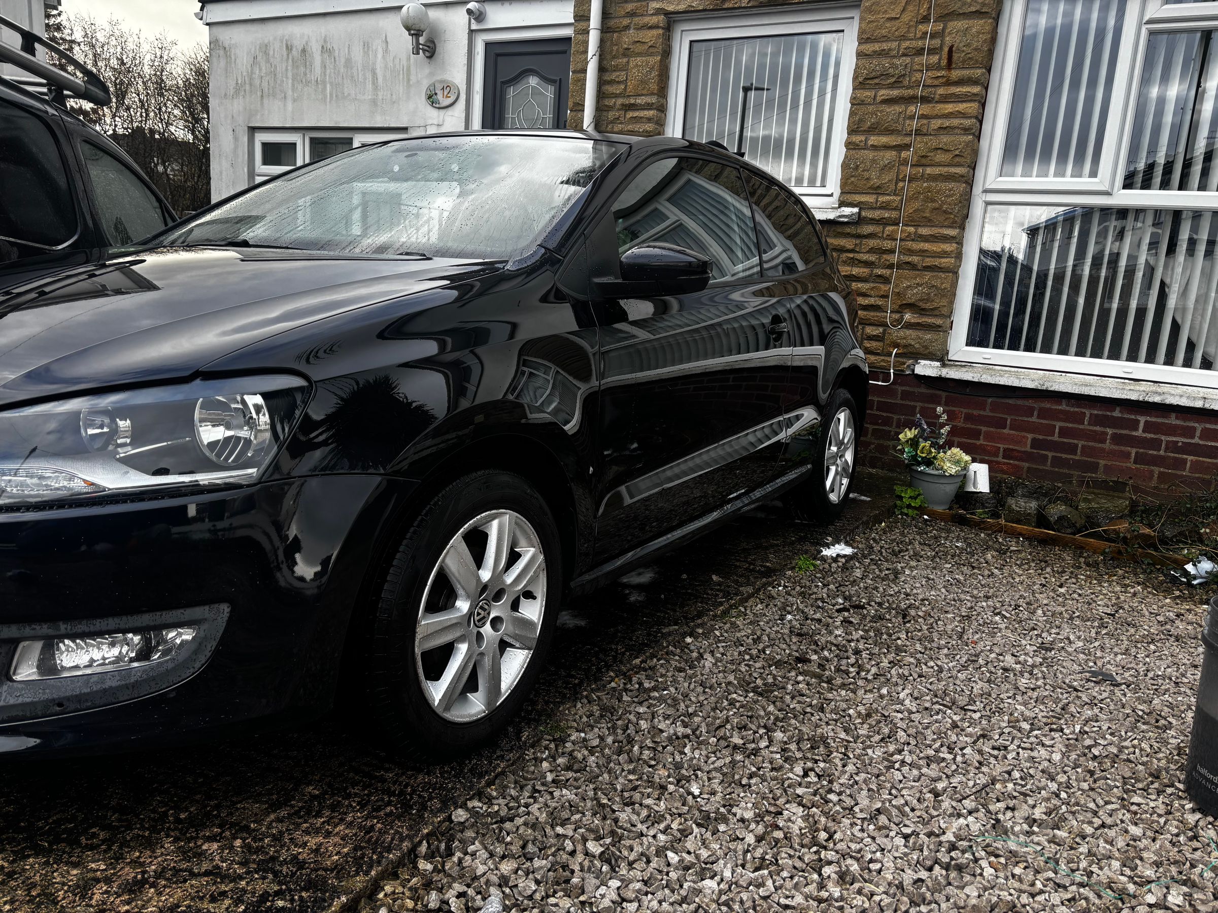 Paired Pristine's image