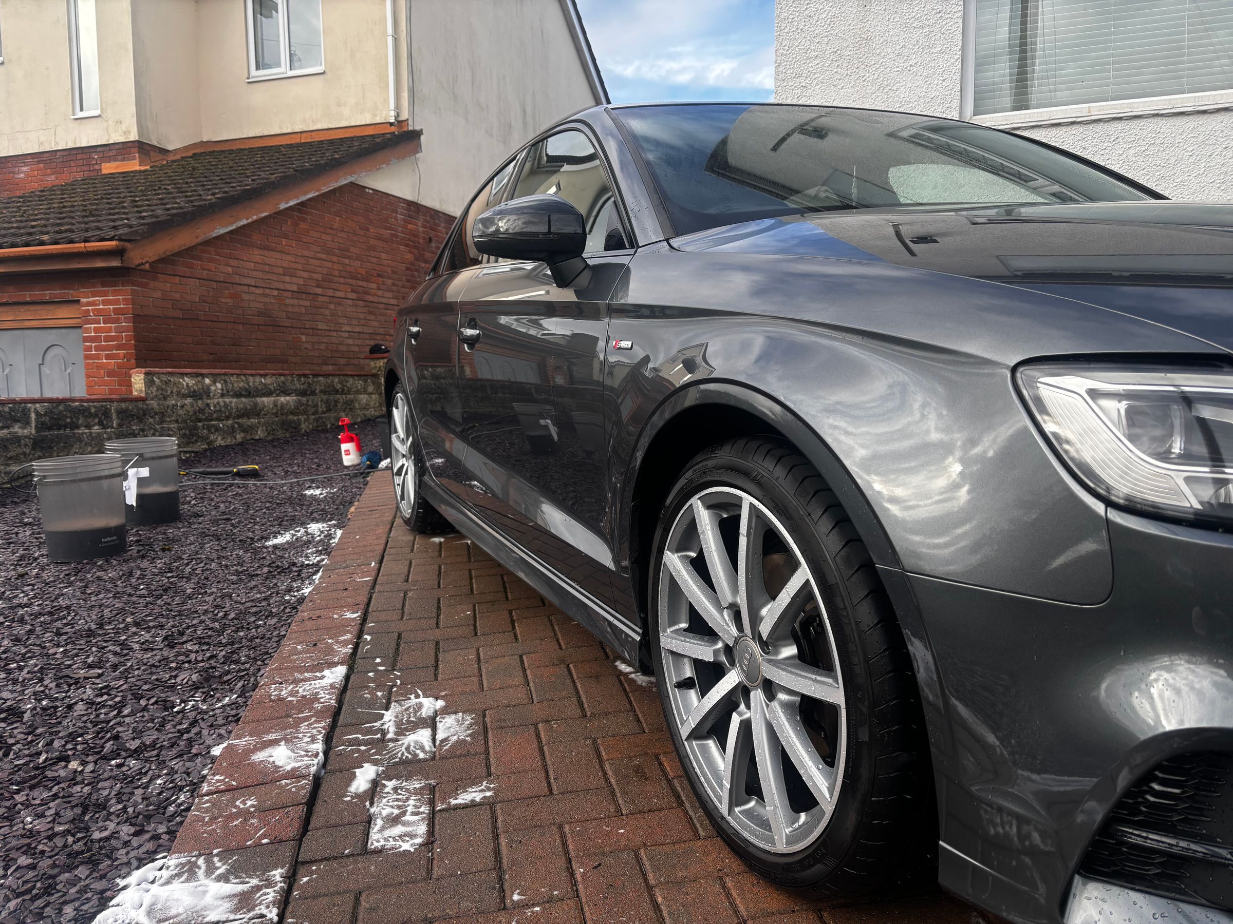 Paired Pristine's image