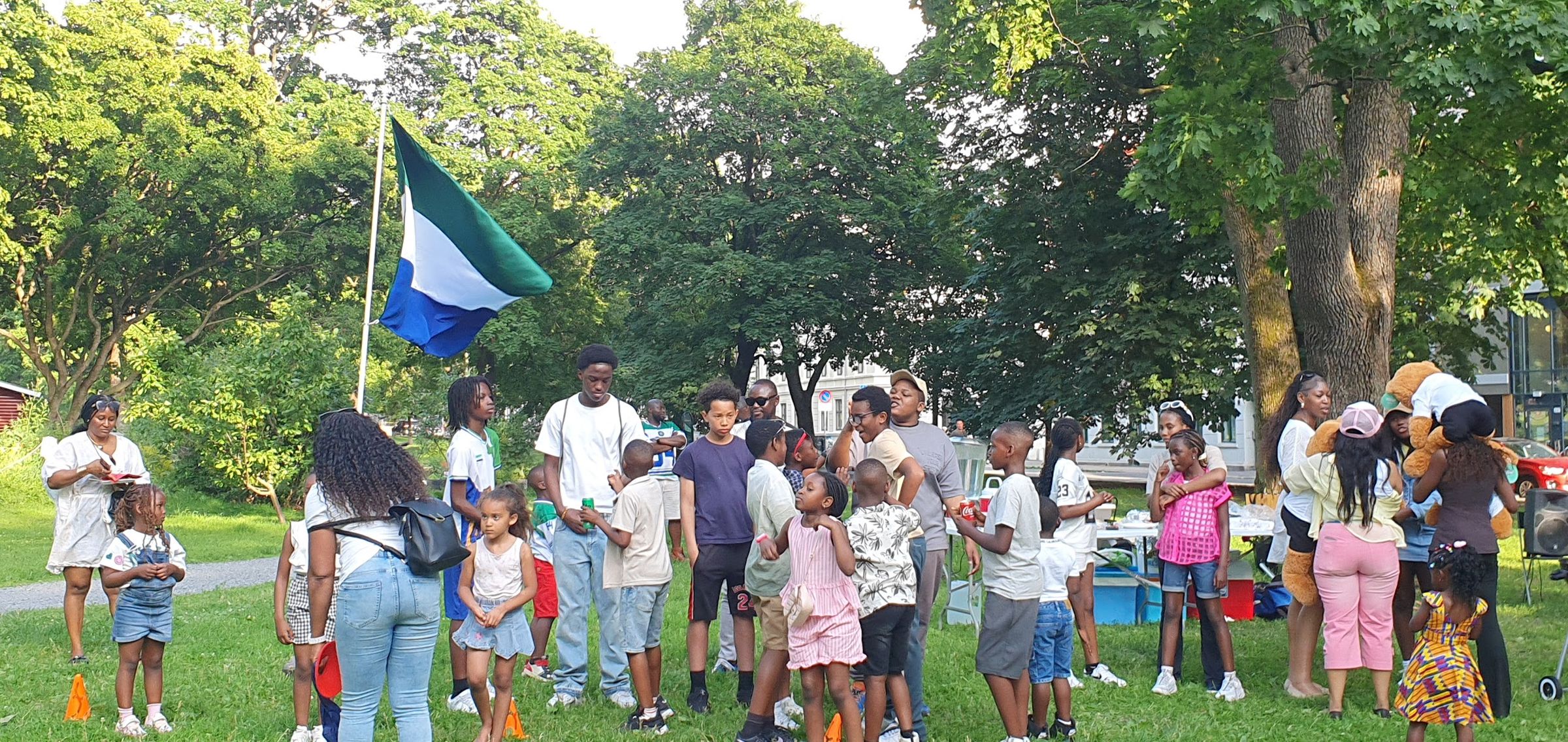 sierraleoneunionnorway.com's image