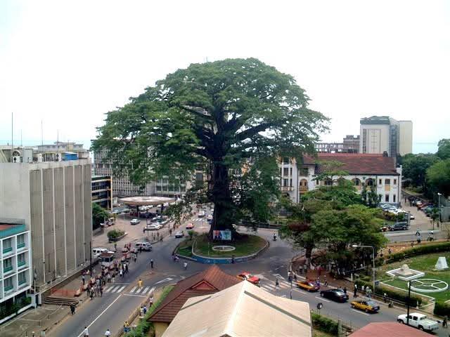 sierraleoneunionnorway.com's image