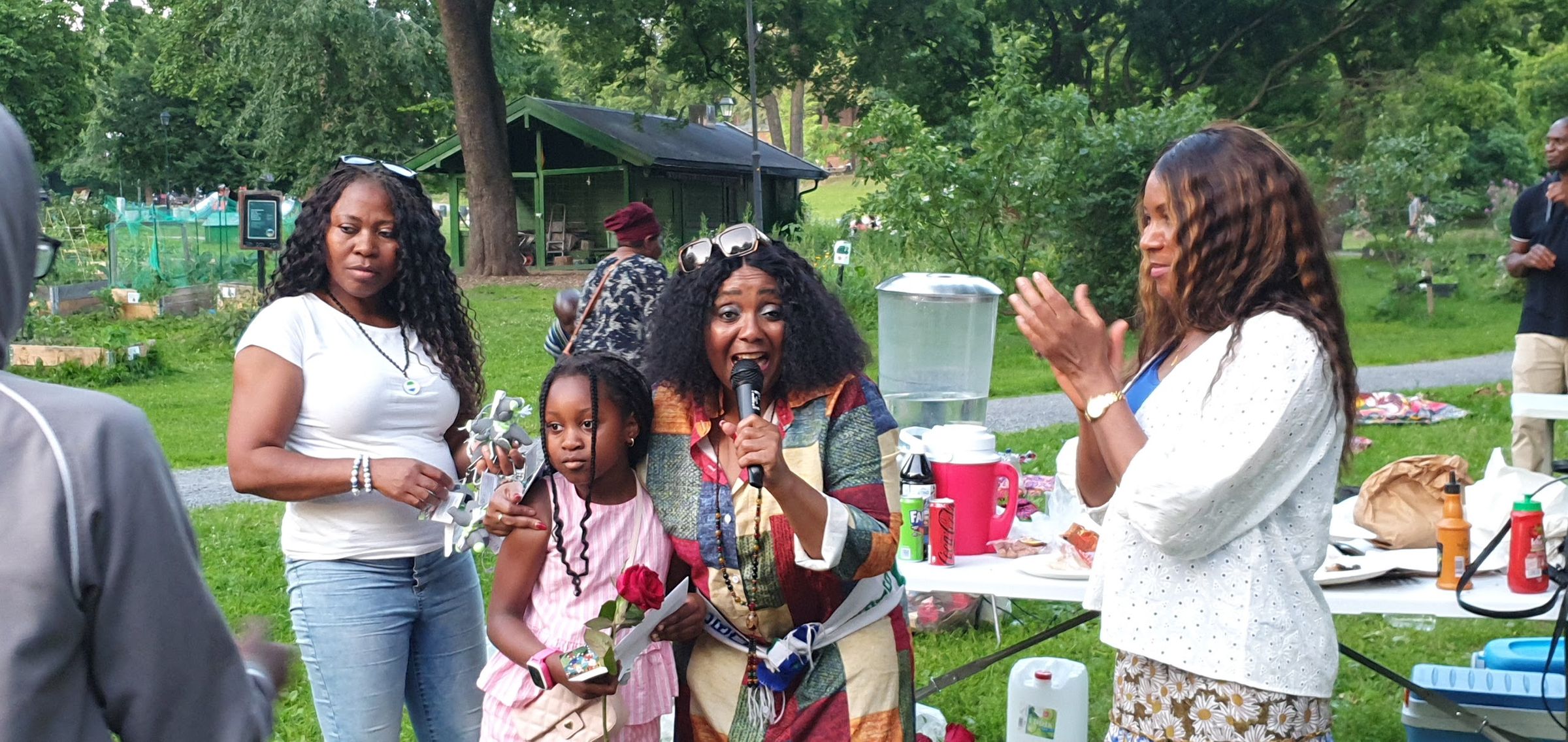 sierraleoneunionnorway.com's image