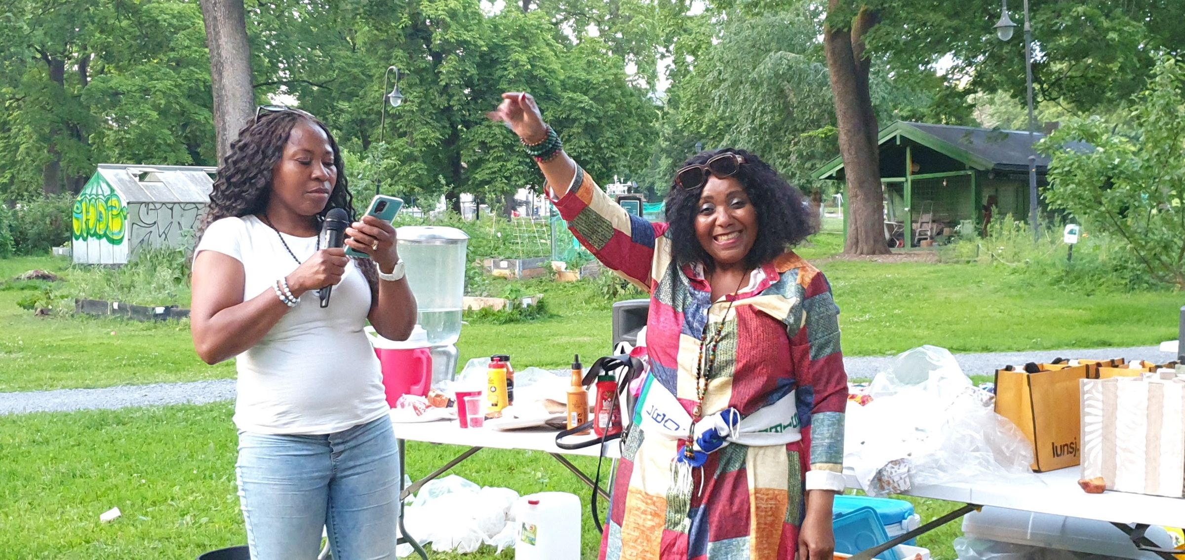 sierraleoneunionnorway.com's image