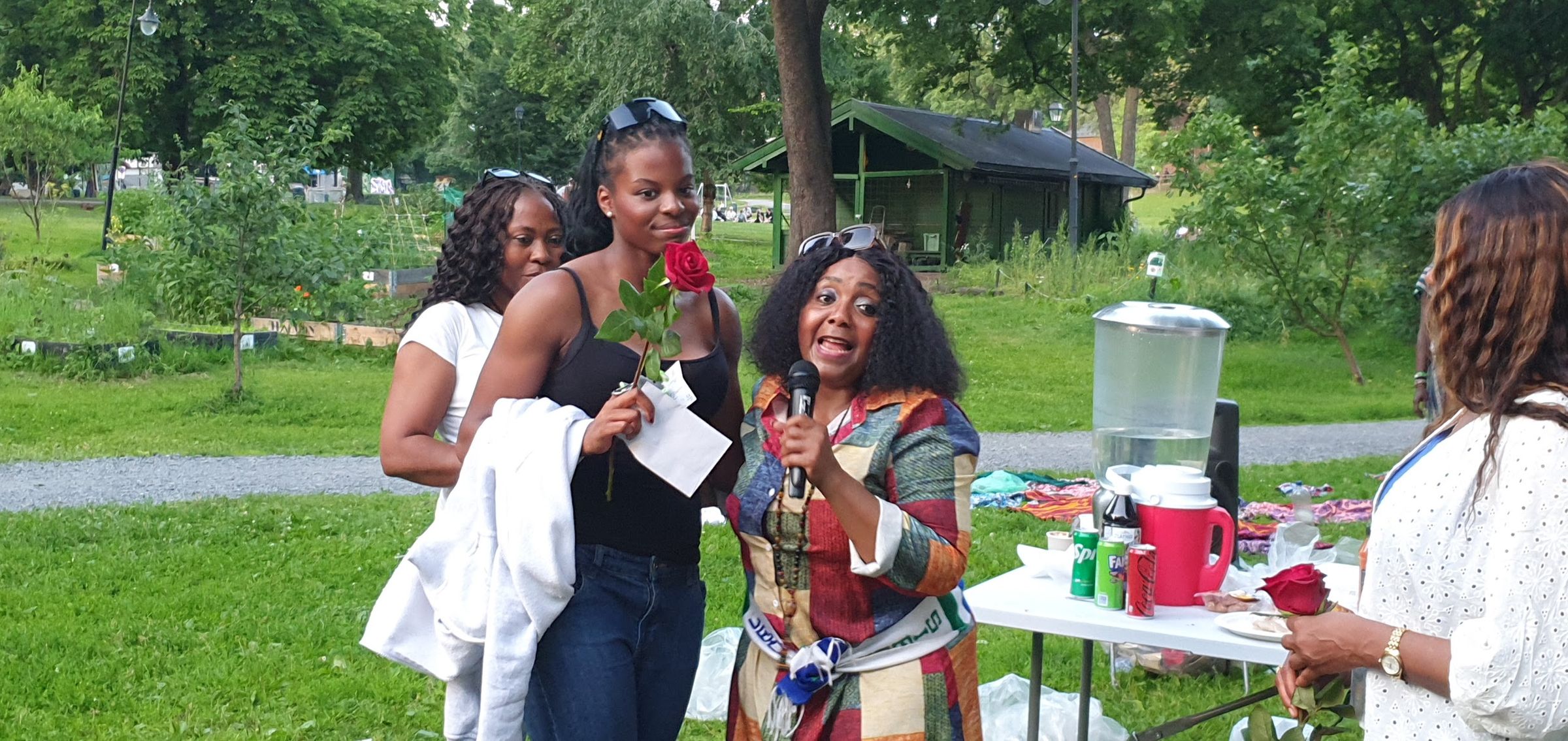 sierraleoneunionnorway.com's image