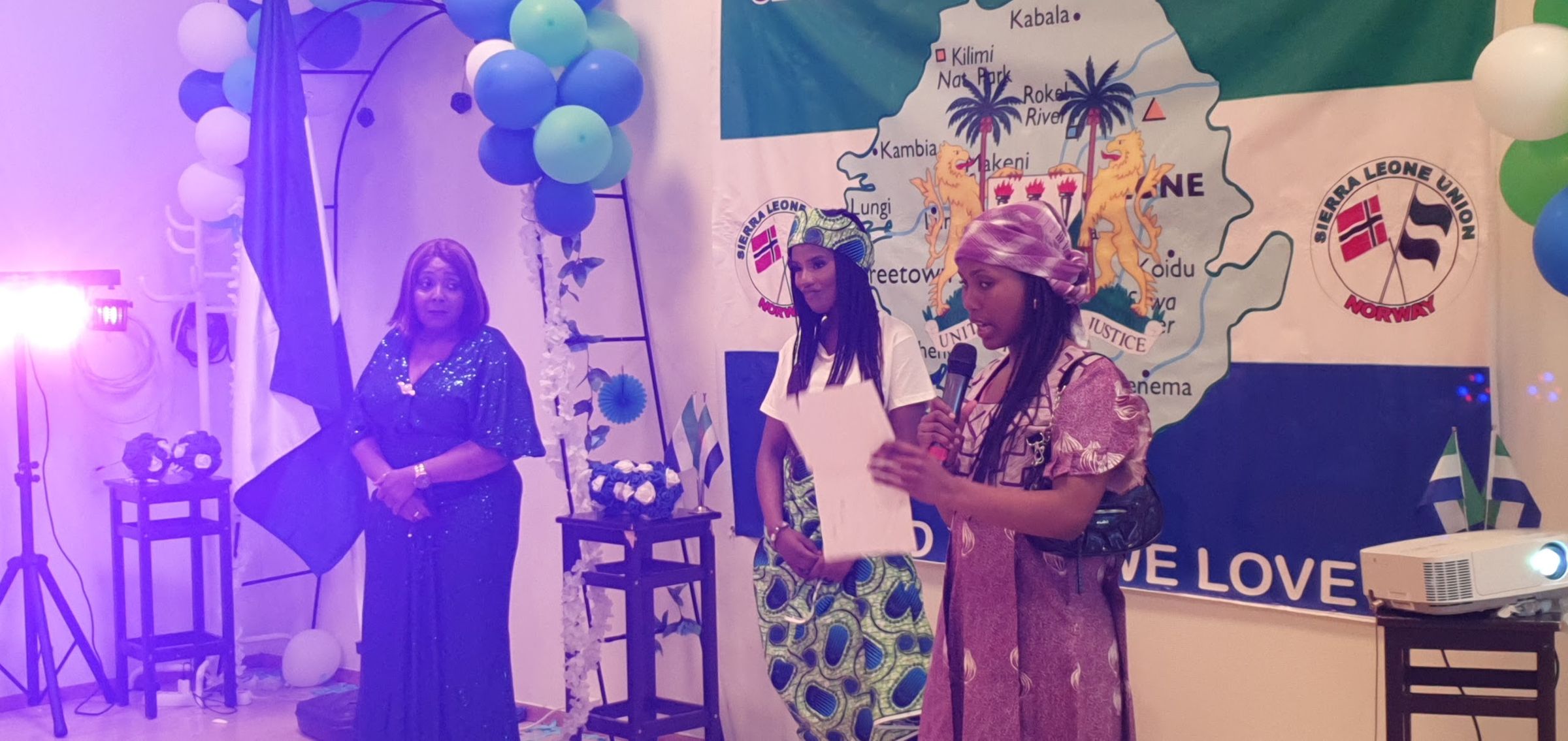 sierraleoneunionnorway.com's image