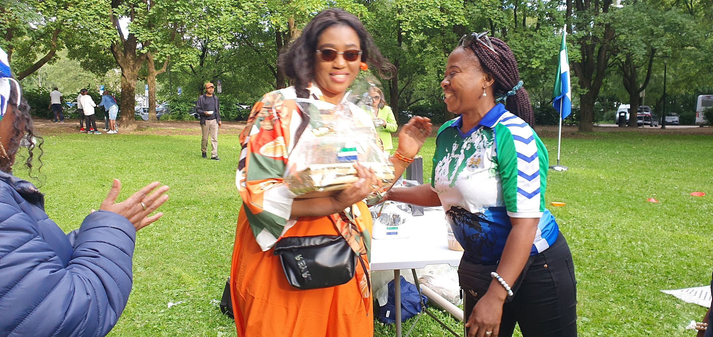 sierraleoneunionnorway.com's image