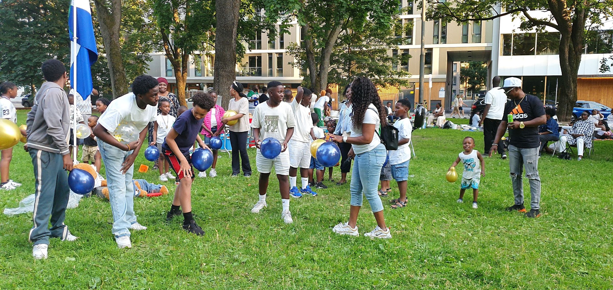 sierraleoneunionnorway.com's image