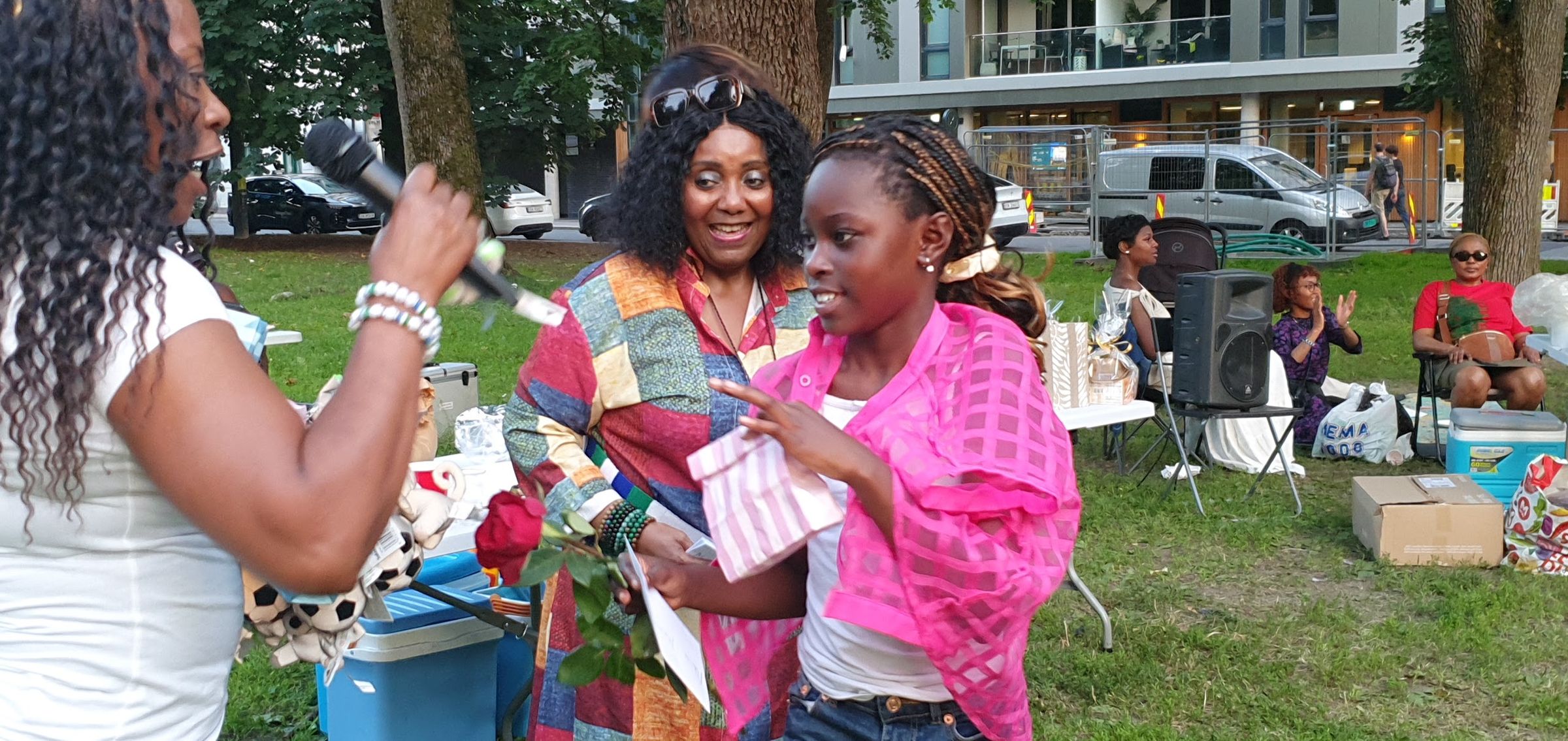 sierraleoneunionnorway.com's image