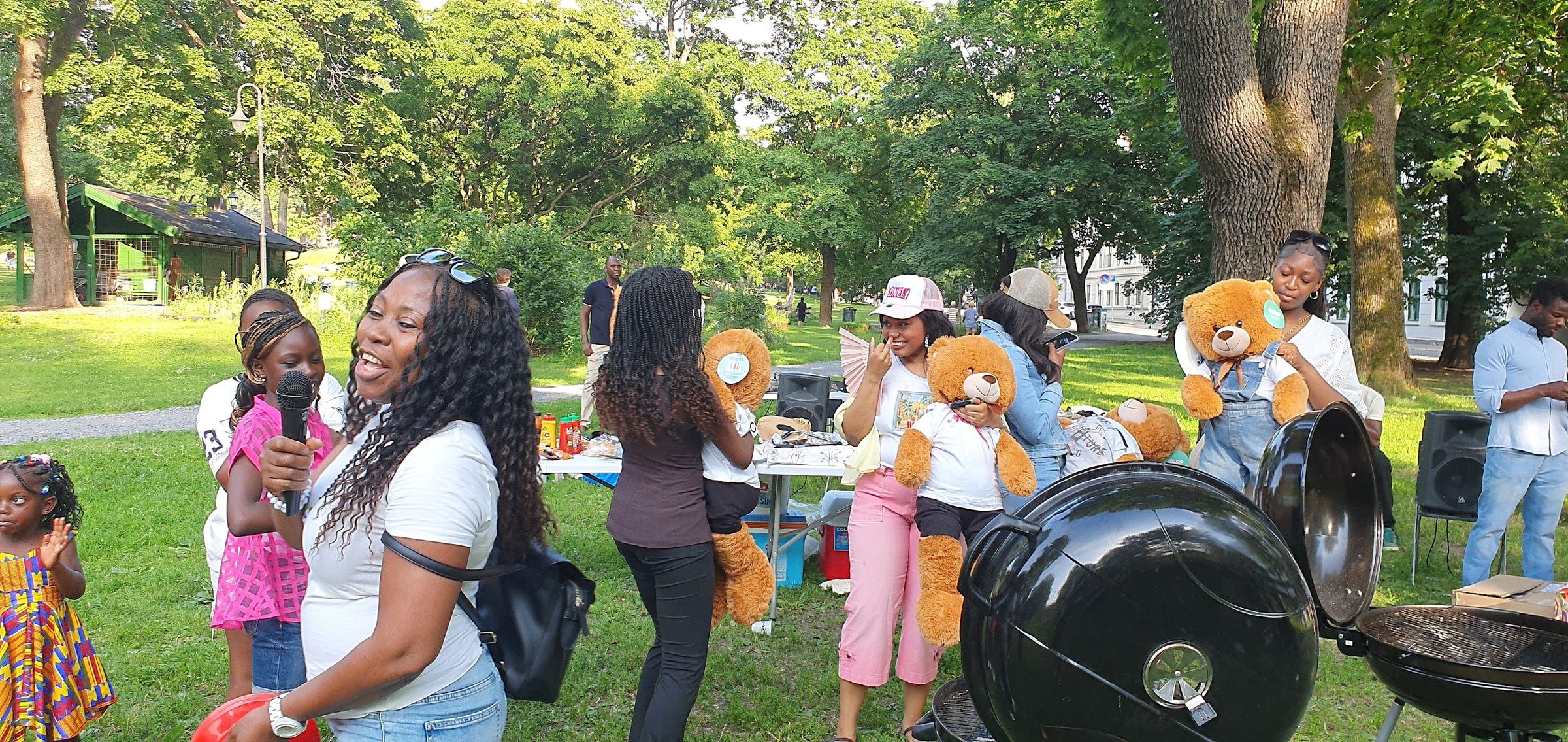 sierraleoneunionnorway.com's image