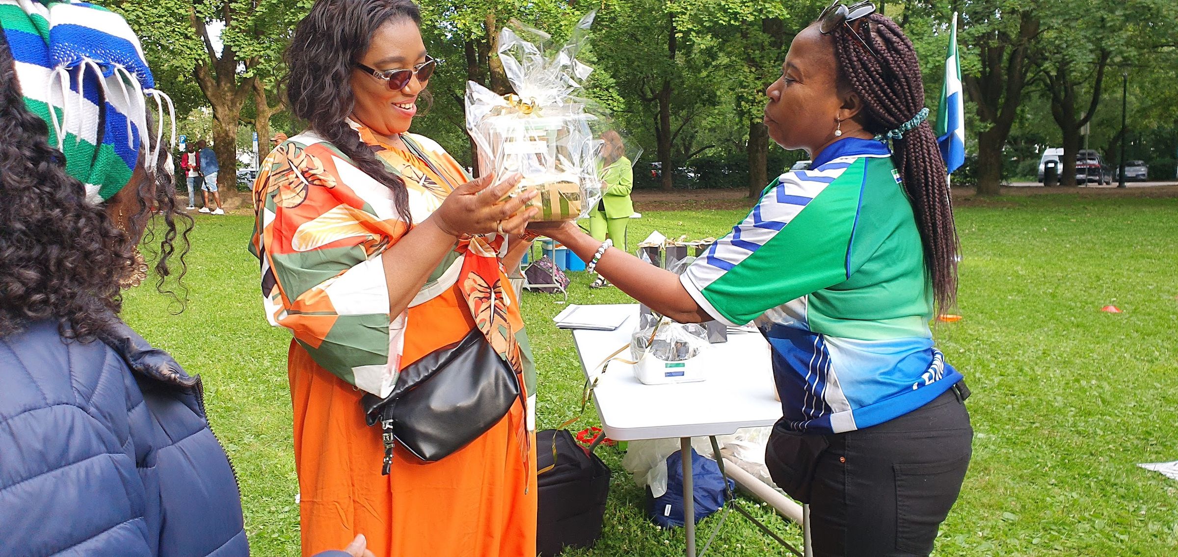 sierraleoneunionnorway.com's image