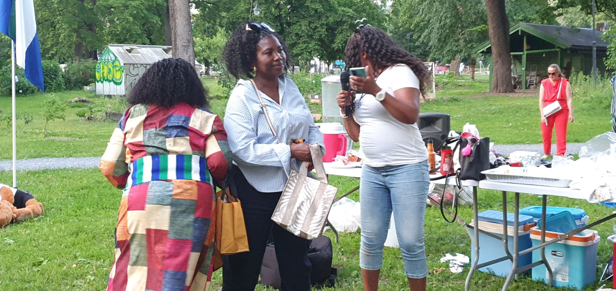 sierraleoneunionnorway.com's image