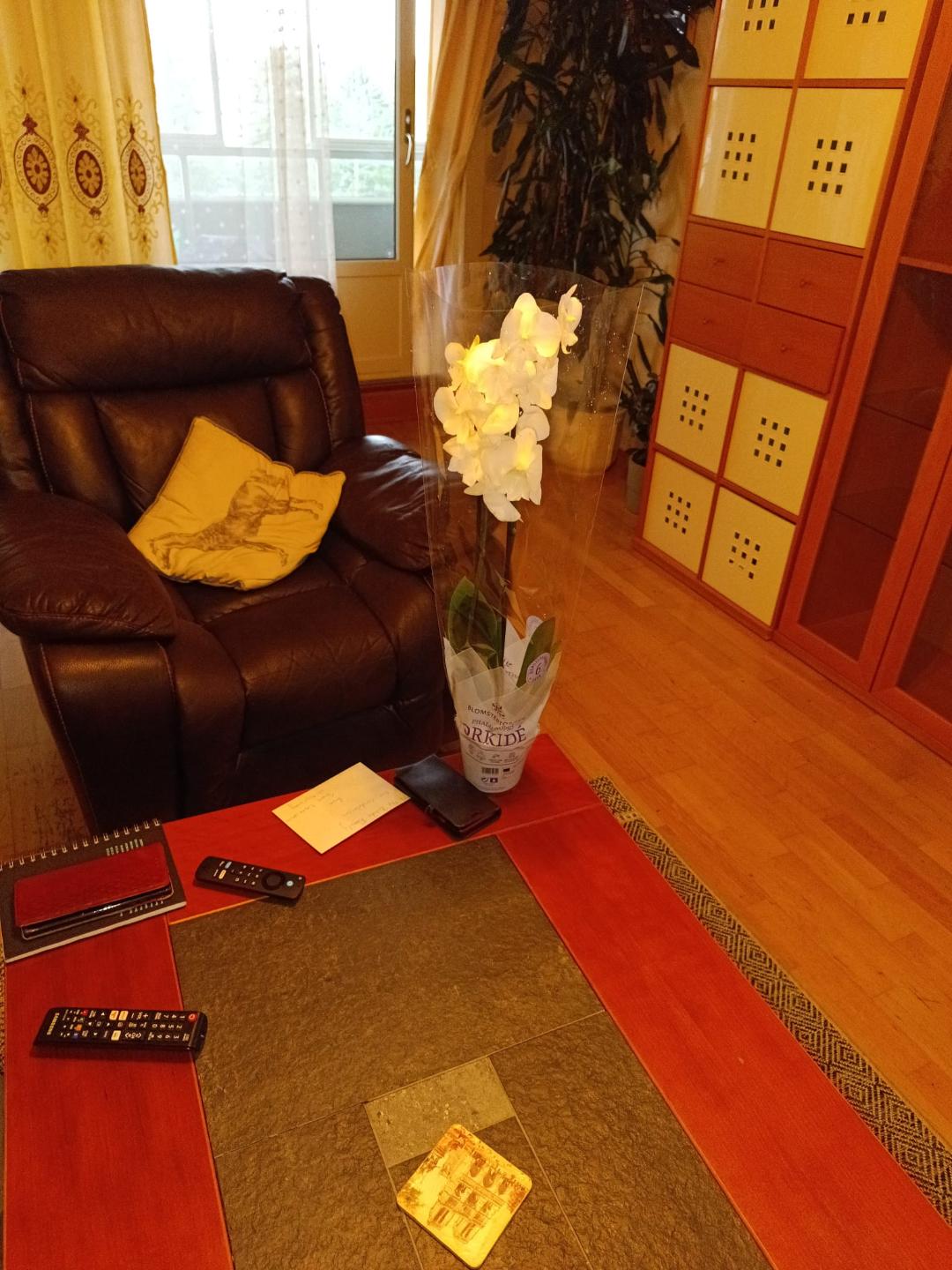 sierraleoneunionnorway.com's image