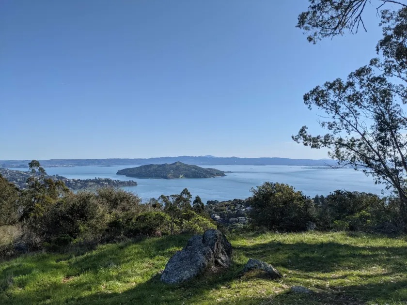 Guided Microdose Tours's image