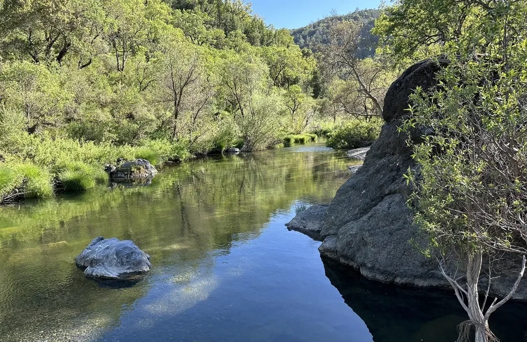 Guided Microdose Tours's image