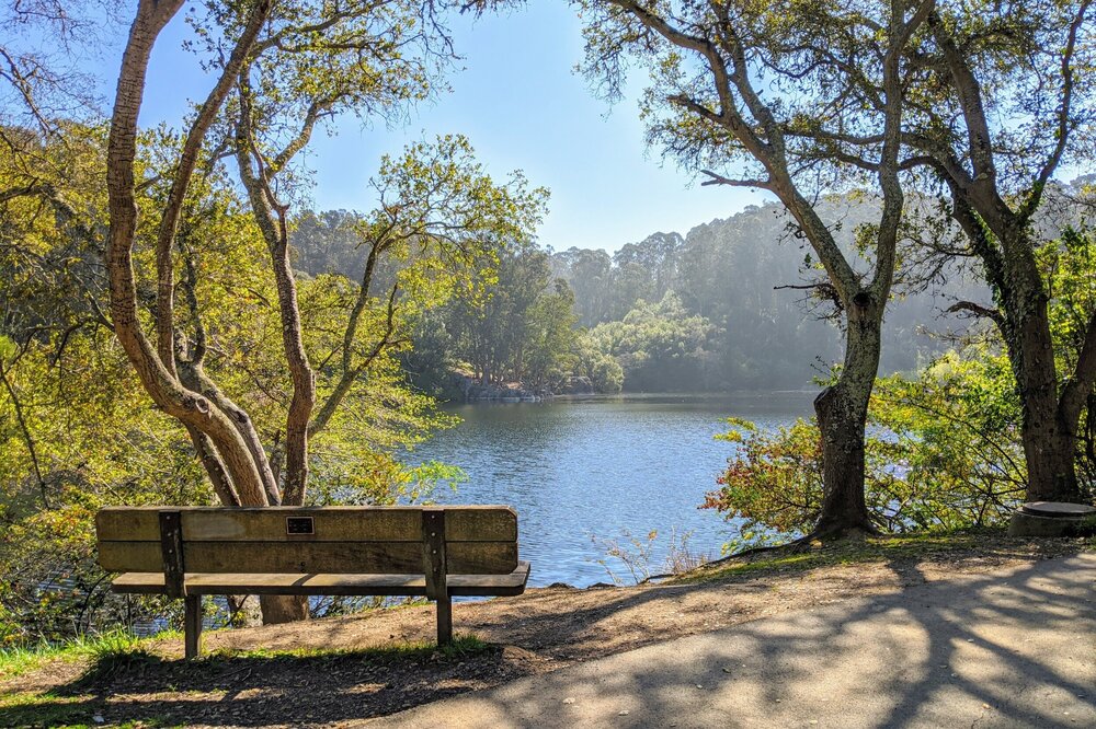 Guided Microdose Tours's image