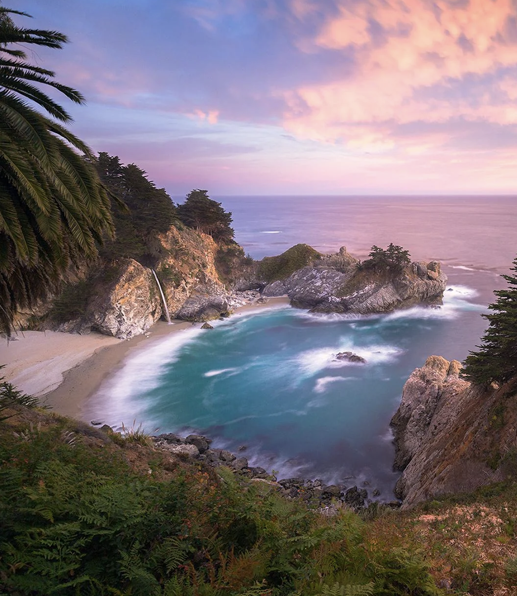 Guided Microdose Tours's image