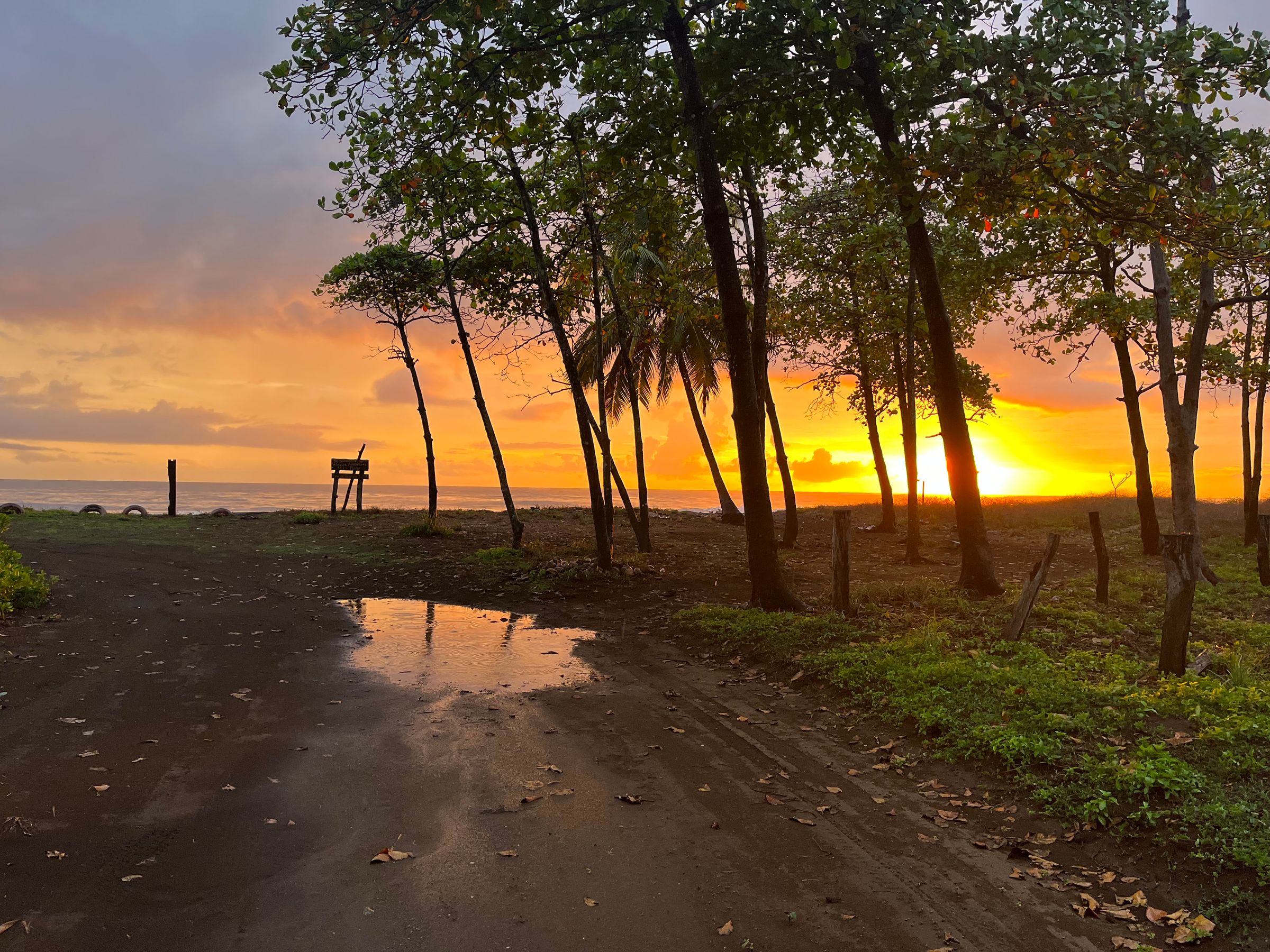 Guided Microdose Tours's image