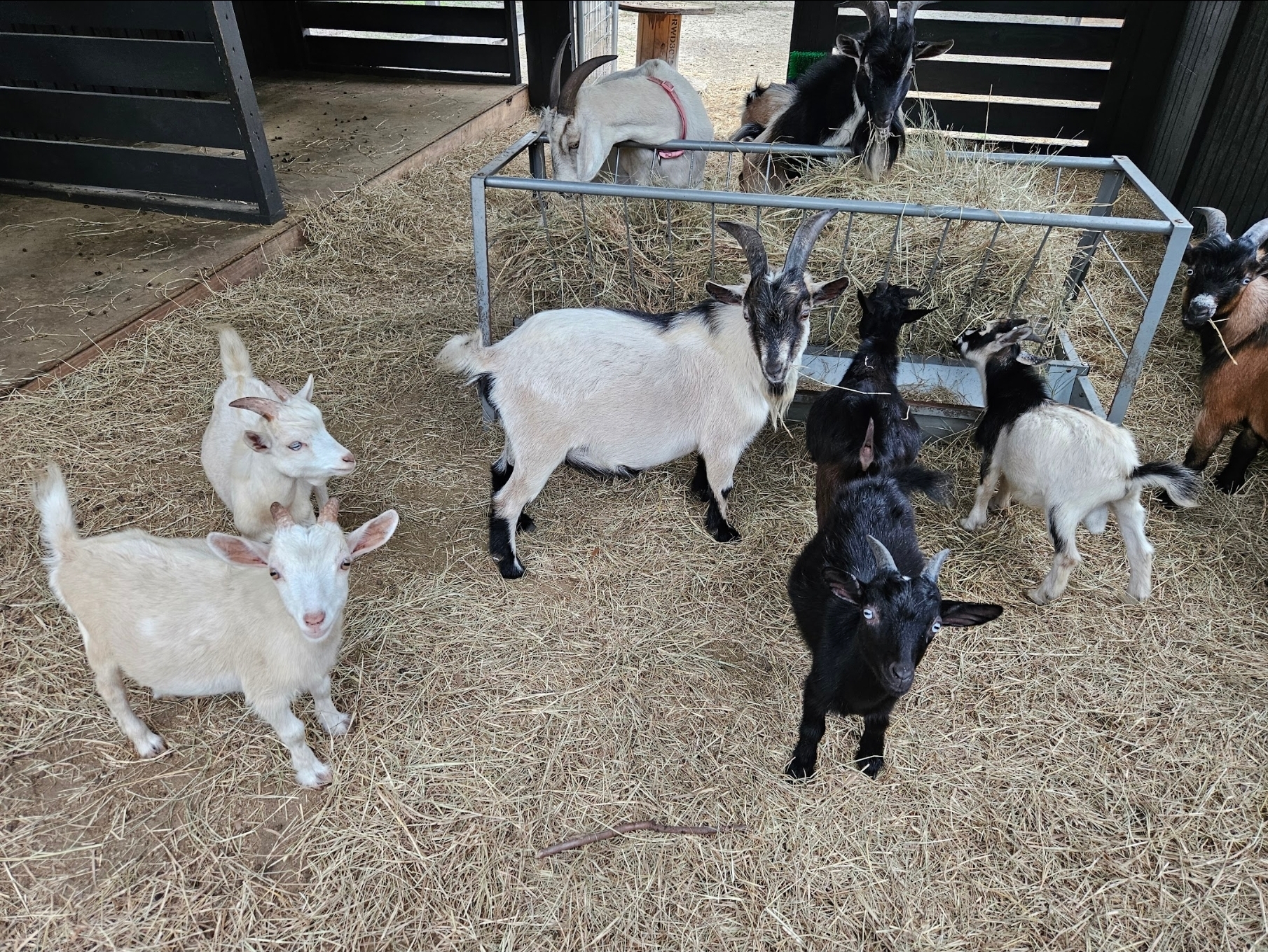 Terra Verde Farm's image